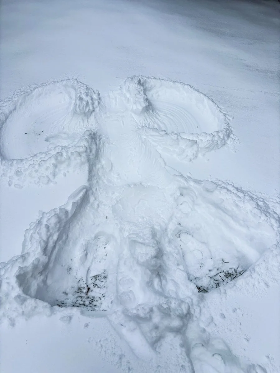 Domi Versailles dildo