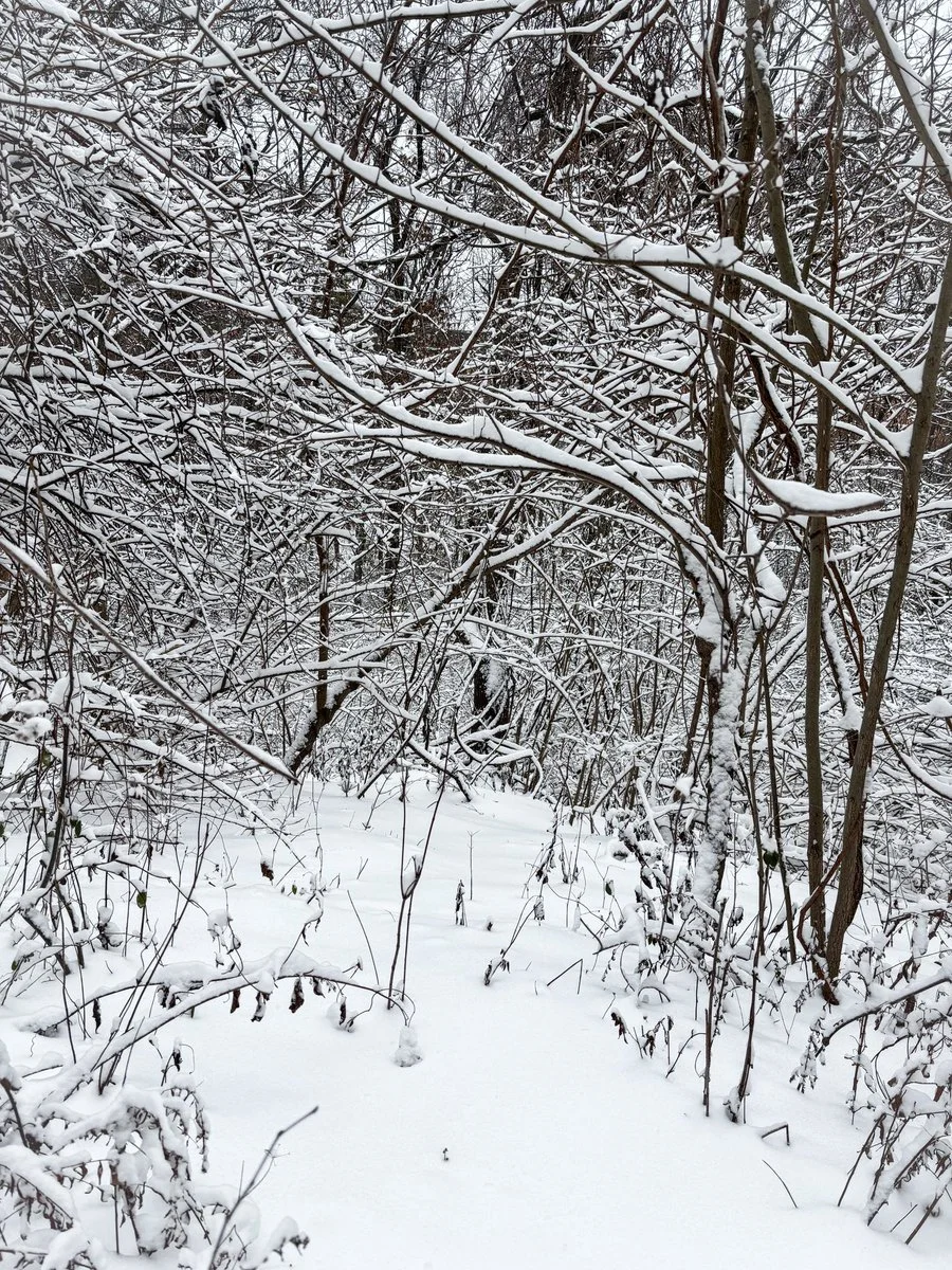 Domi Versailles nude photos