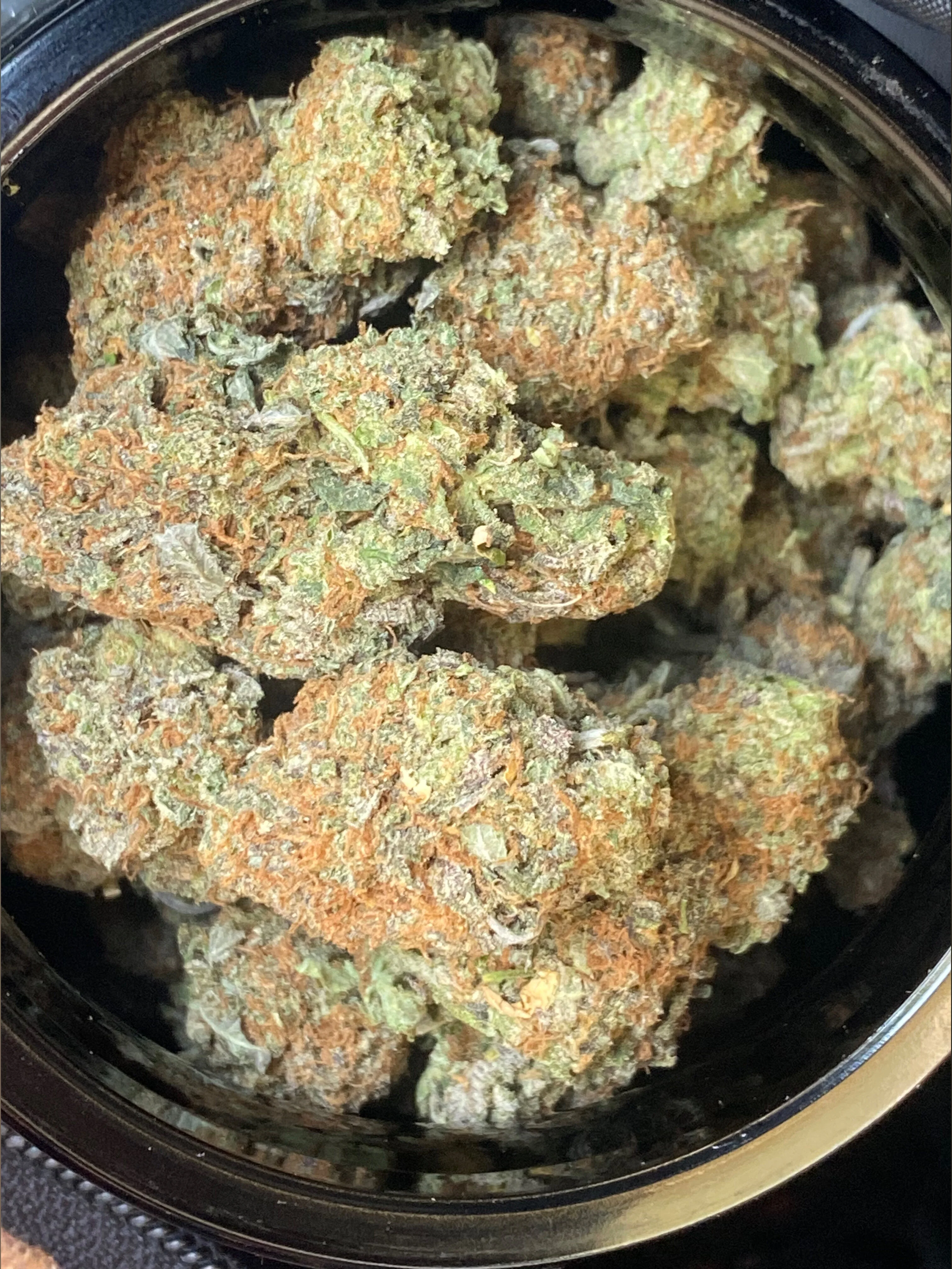 🔞 @juswon politica