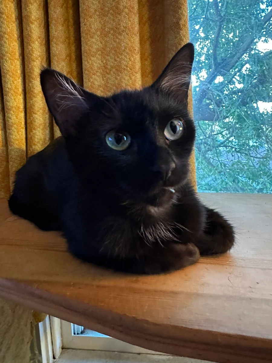 Ms_Nacke @ms_nacke sports