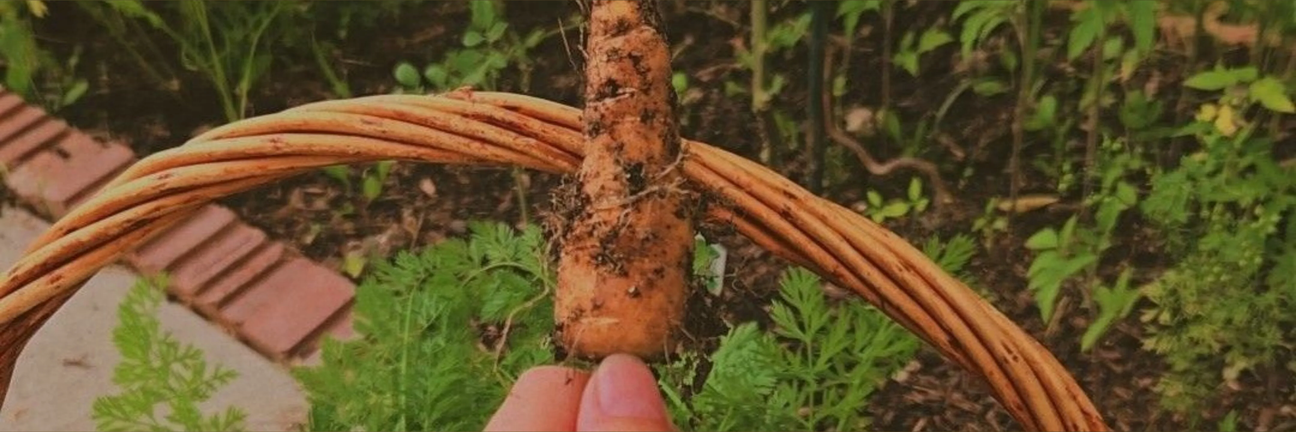 Nicole James @nj_nicolejames and cory chase