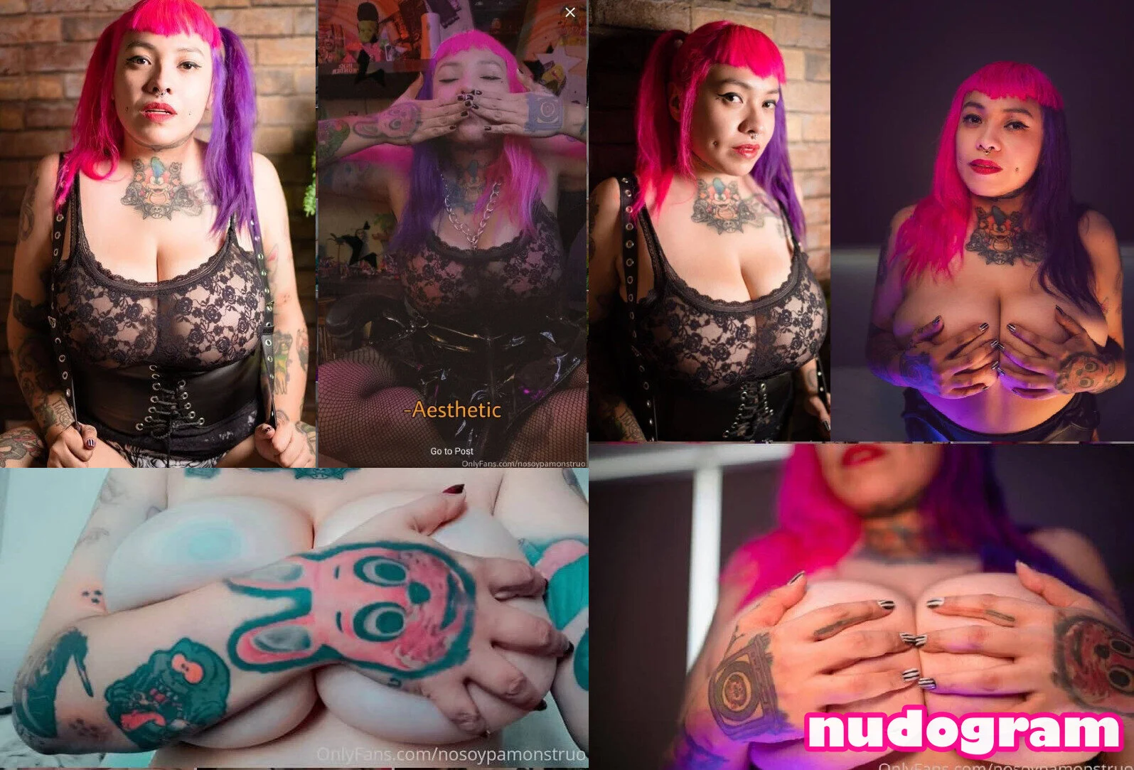 La otra Pam @nosoypamonstruo net worth