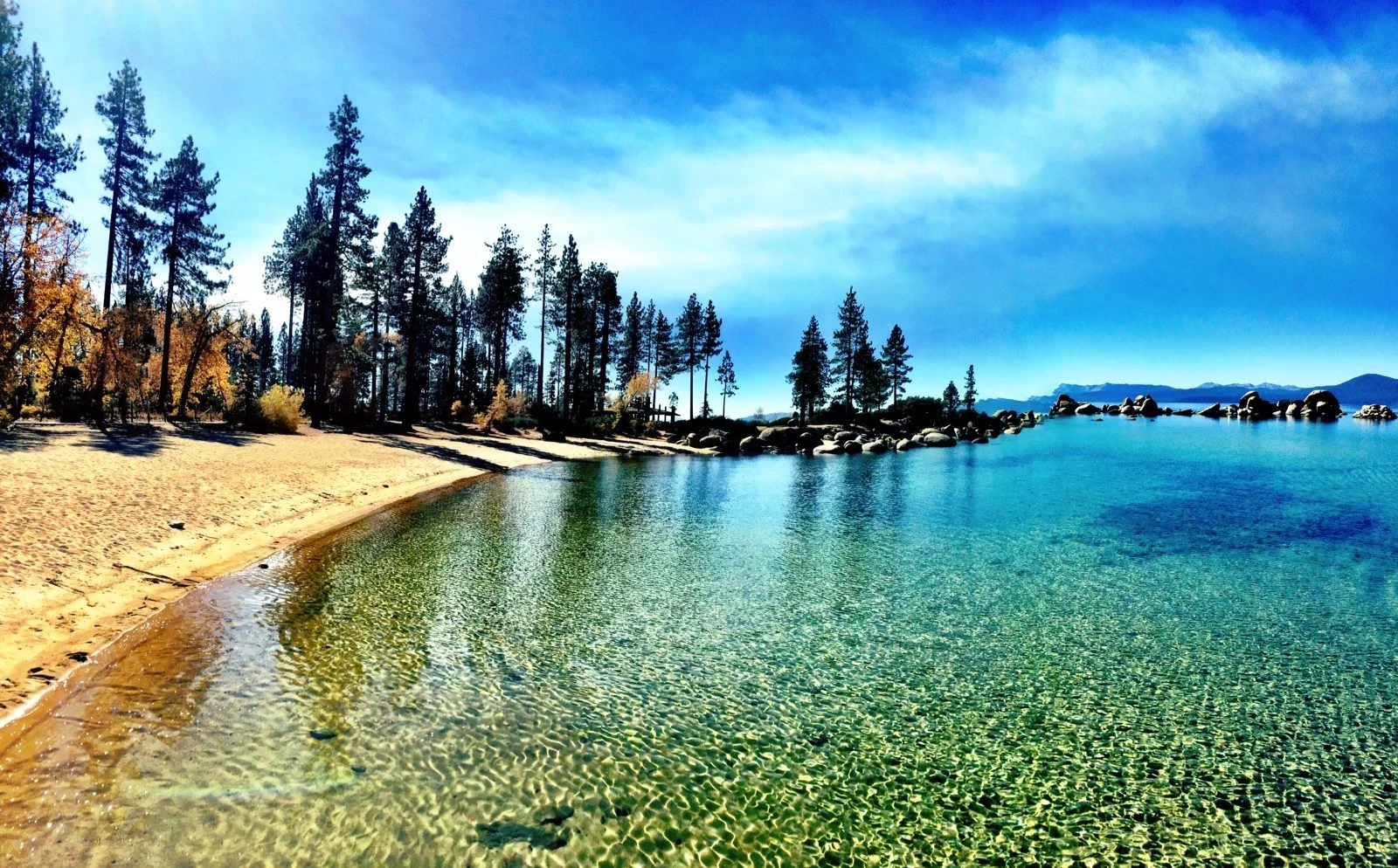 Rob Knocks @robknocks american eagle dialogue