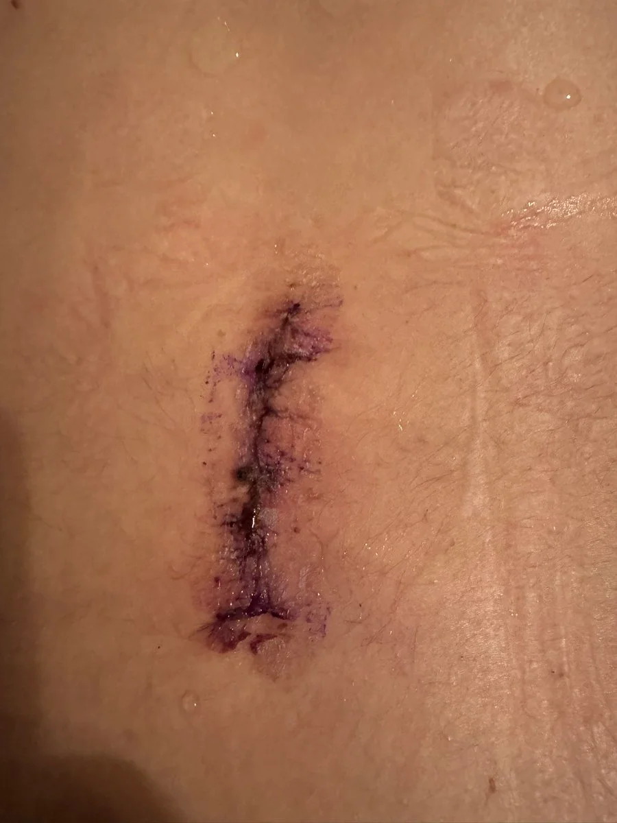 Sylvie Baby see thru