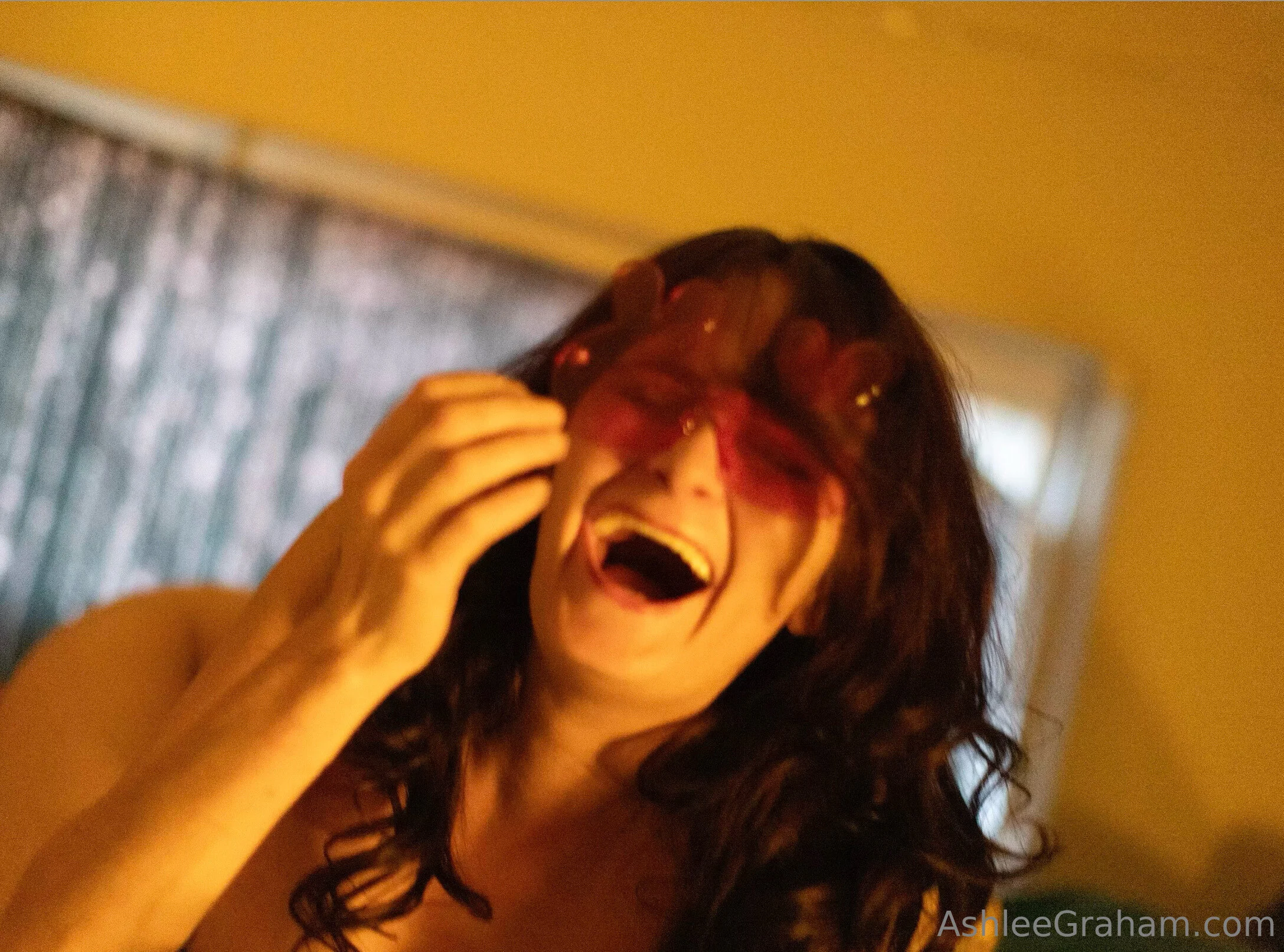 Ashlee Graham @theashgraham bikini dog