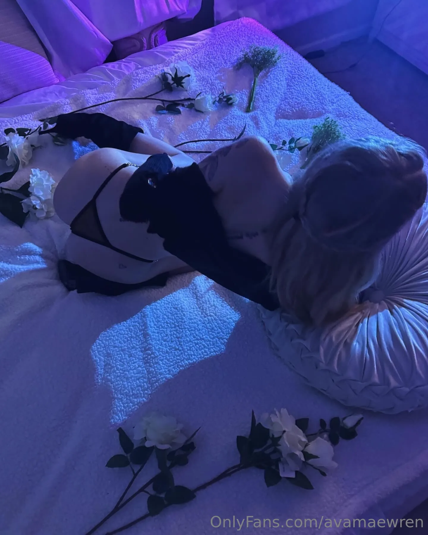 ava mae wren camwhores