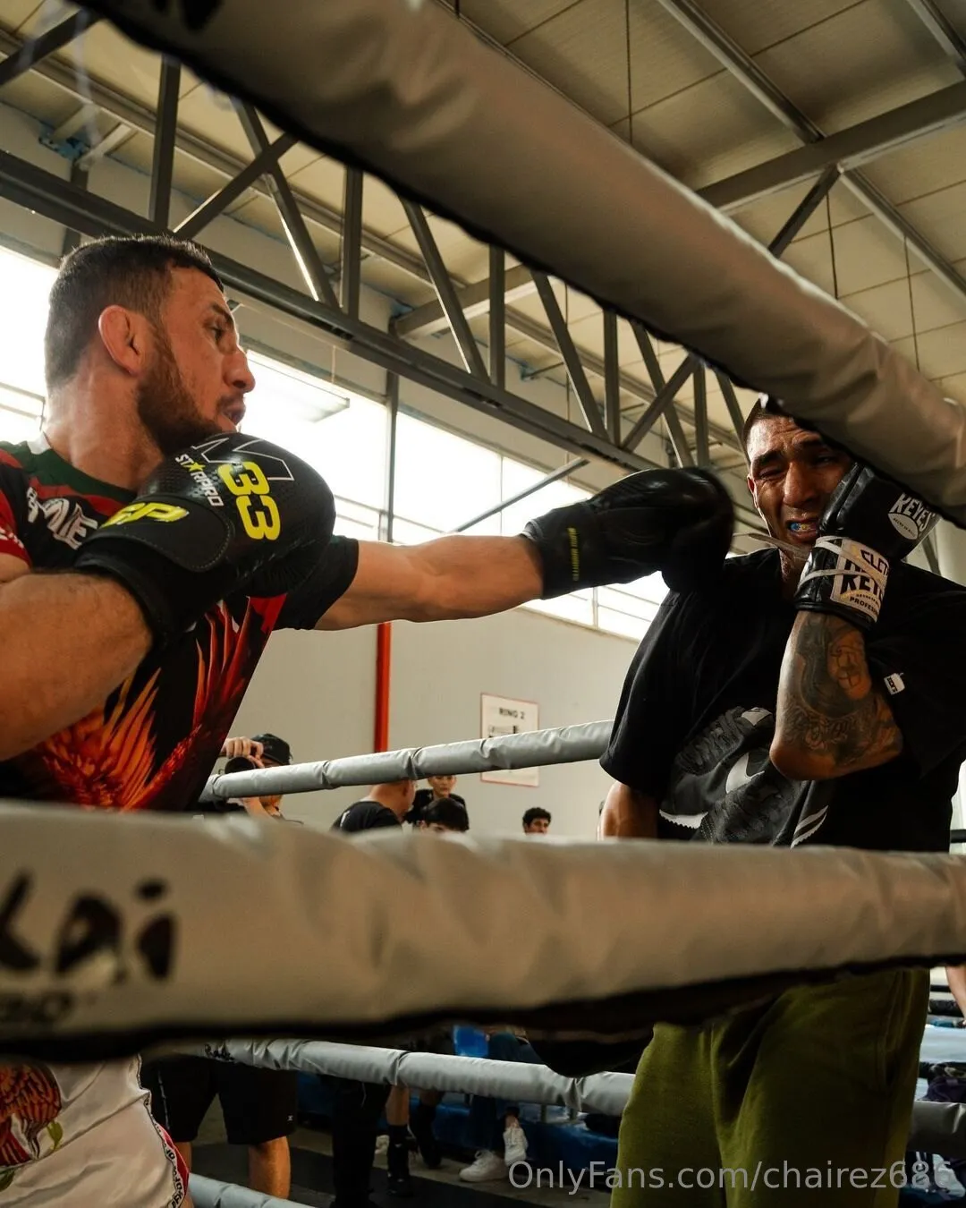 Edgar Chairez @chairez686 of leaks