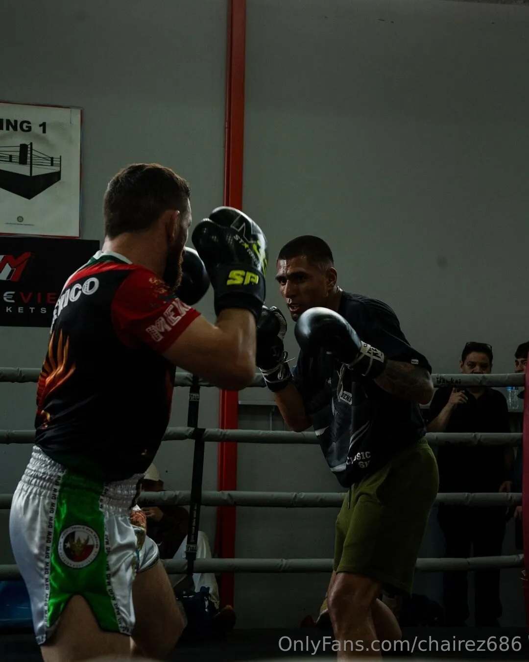 Edgar Chairez nude leaks