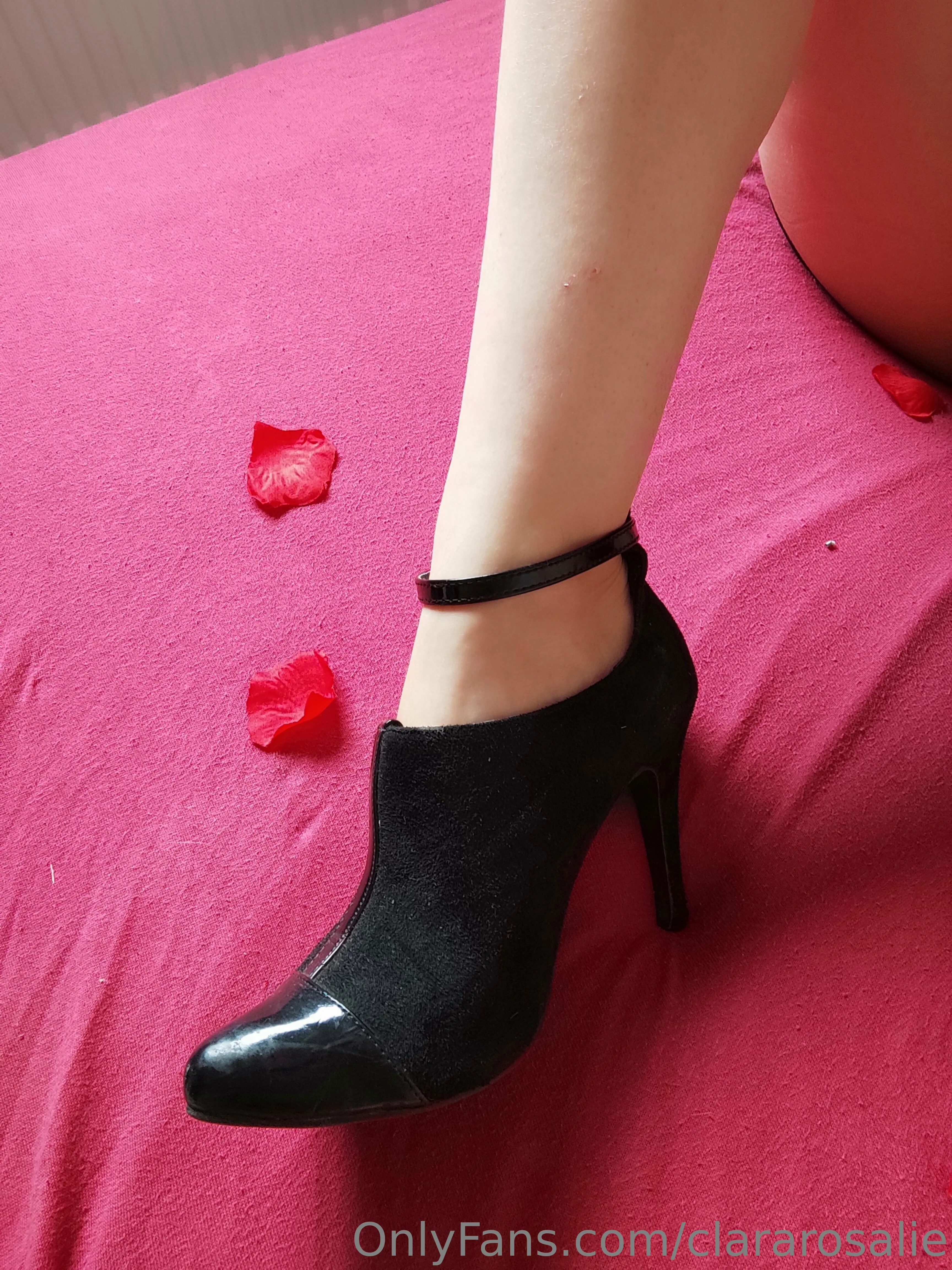 Clara Rosalia @clararosalia porn gif