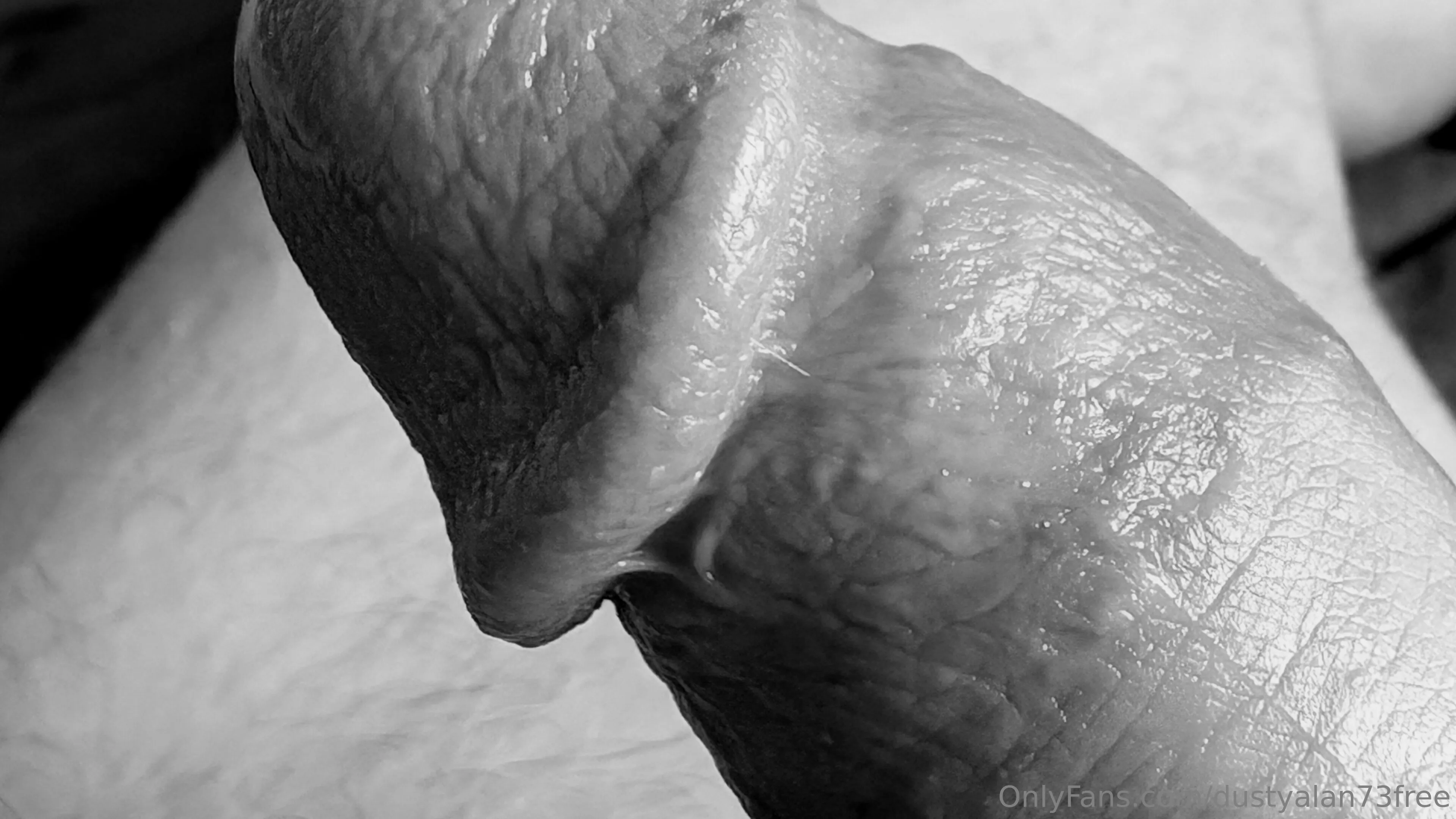 DustyAlan73Free @dustyalan73free free