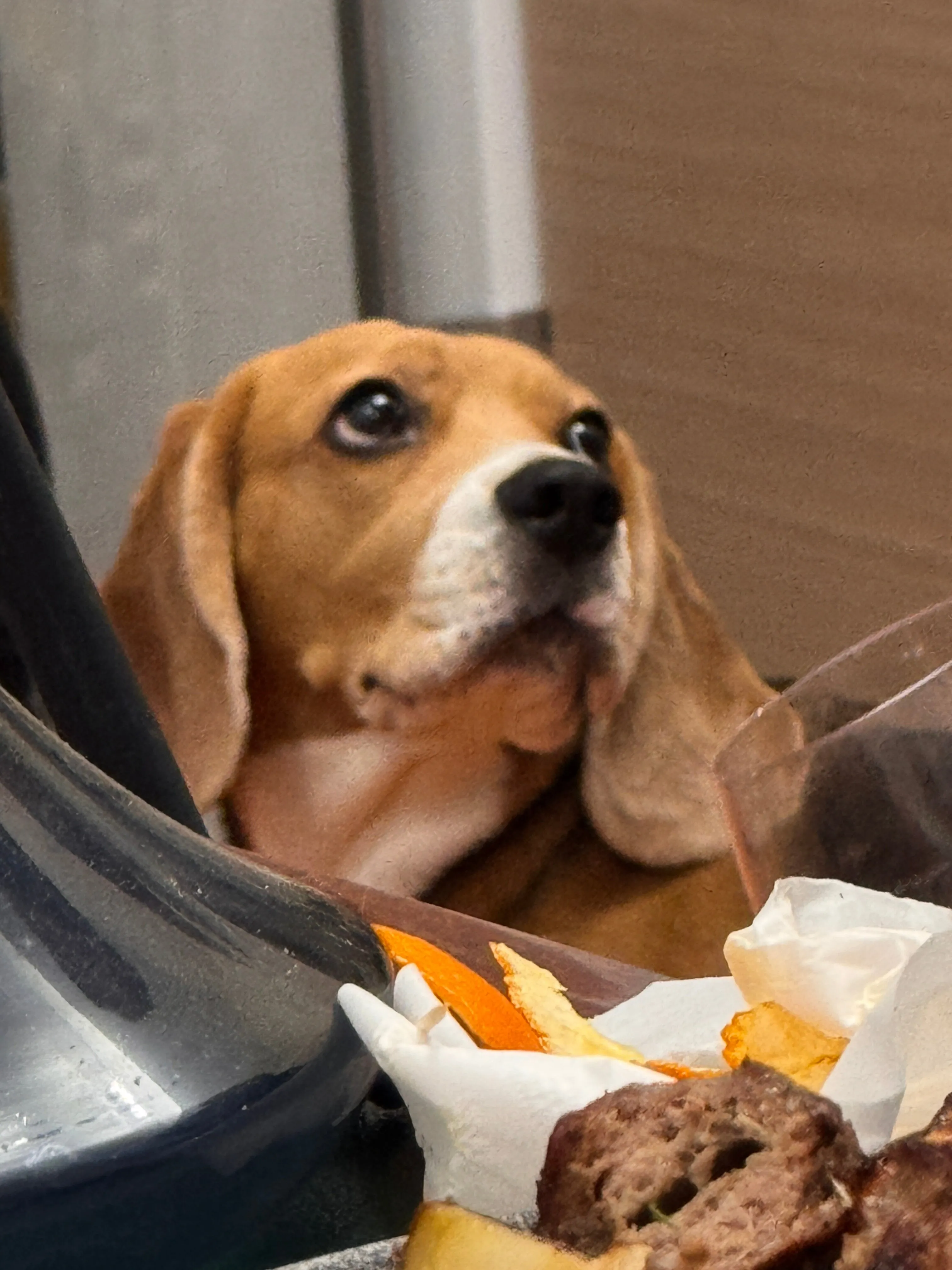 Ellie Bunny🐇 lil_midgetbaddie