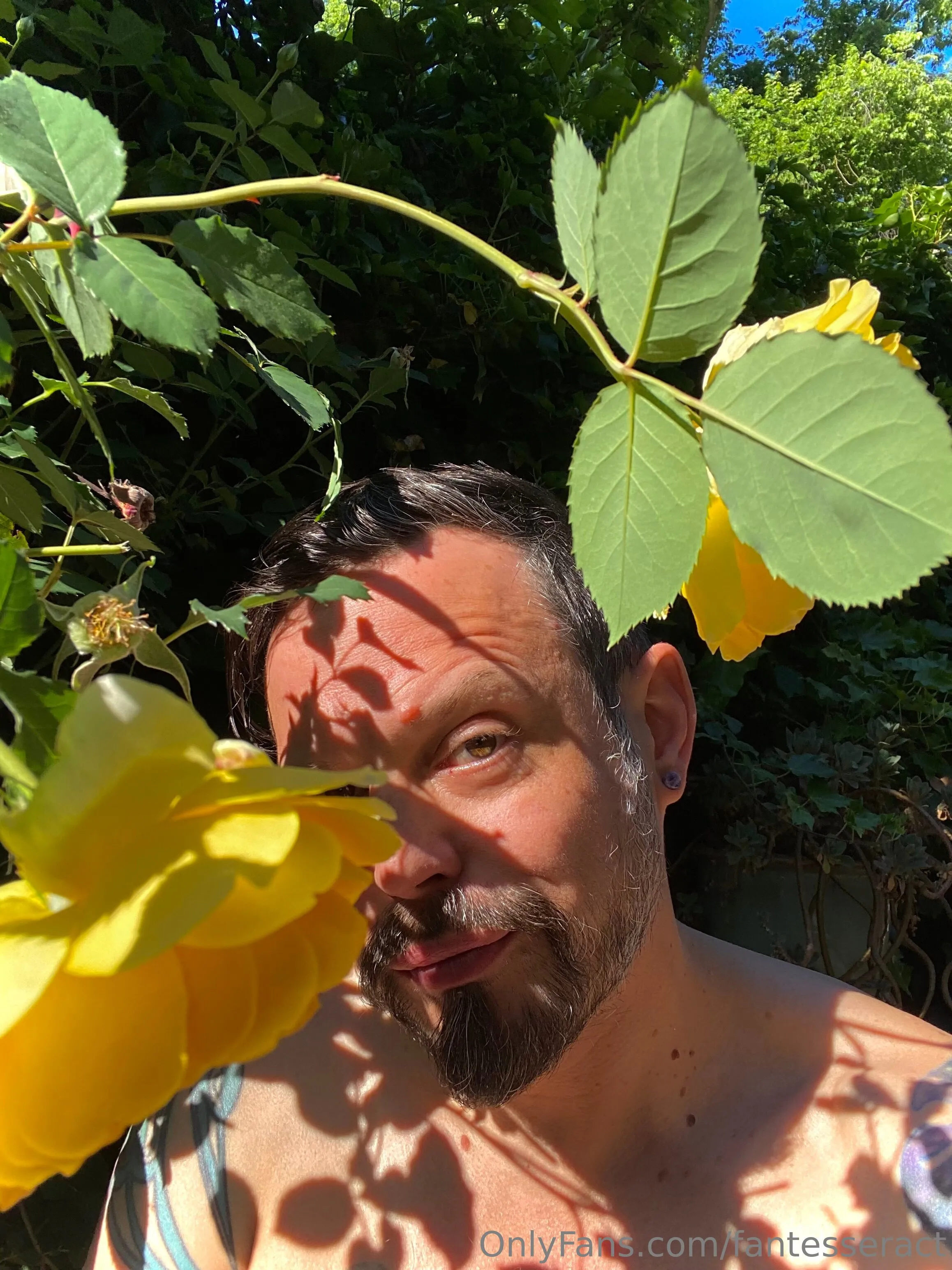 Blake @fantesseract anal porn