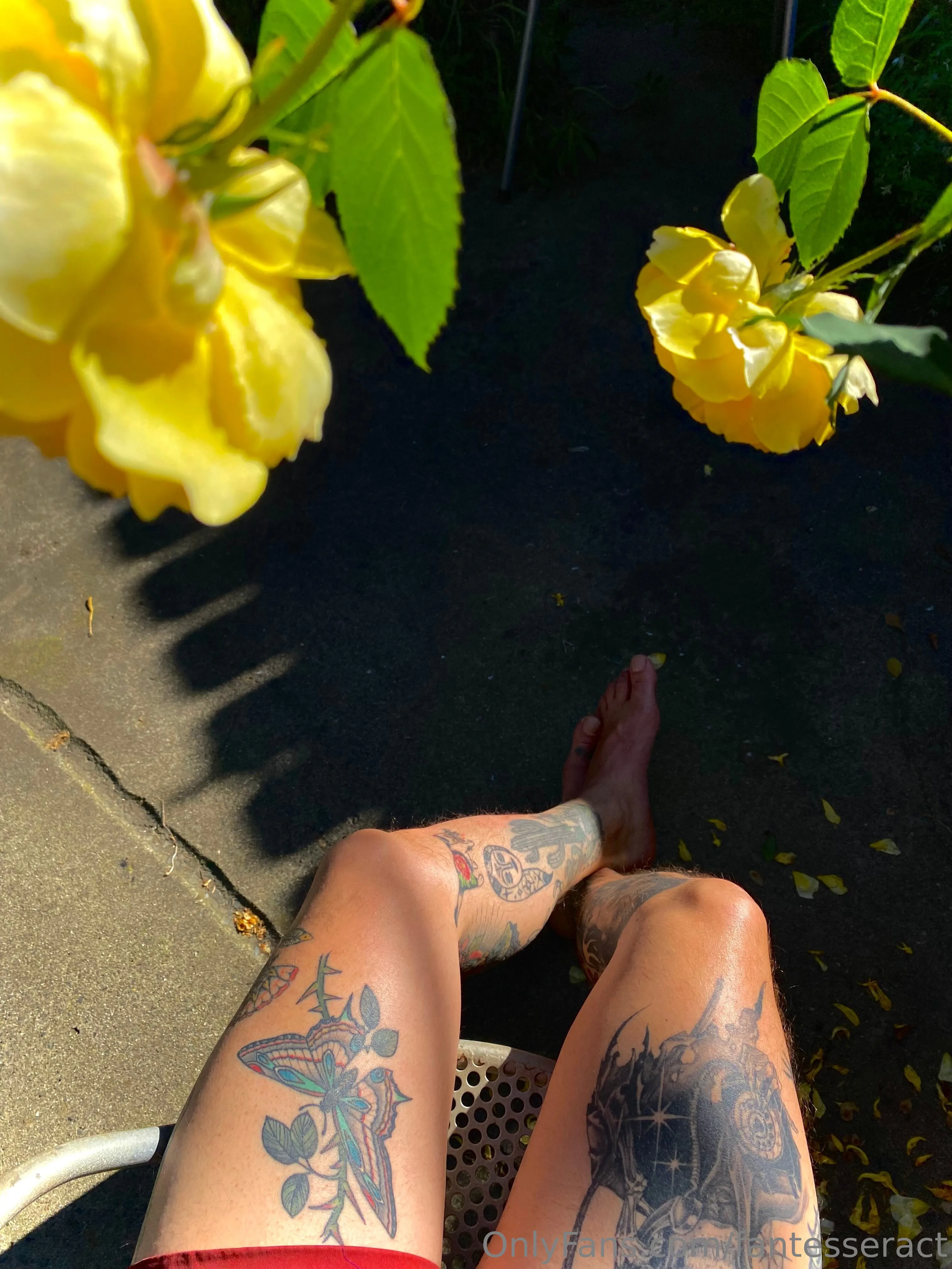 Blake @fantesseract dylan phoenix and