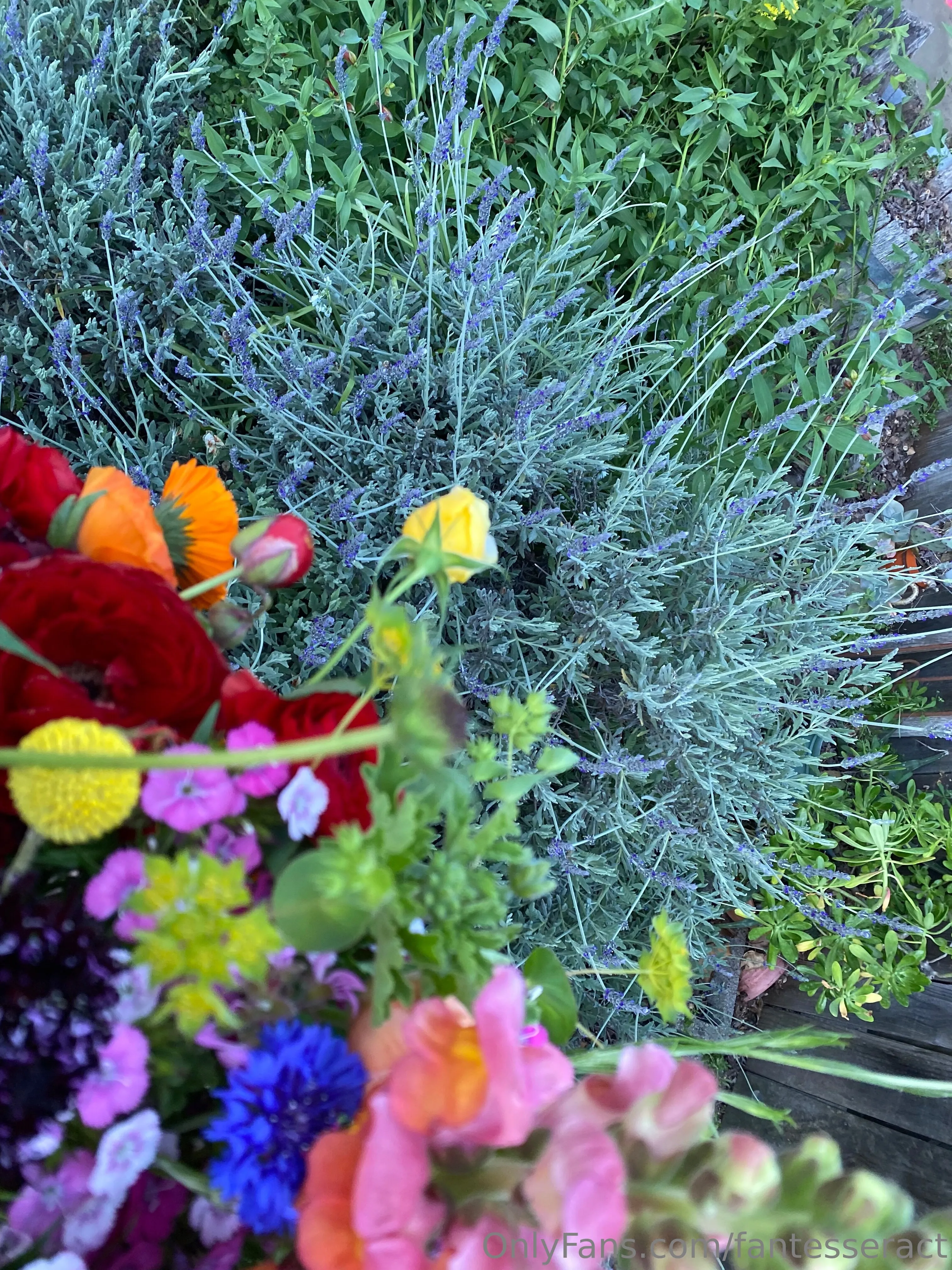 Blake @fantesseract wikipedia