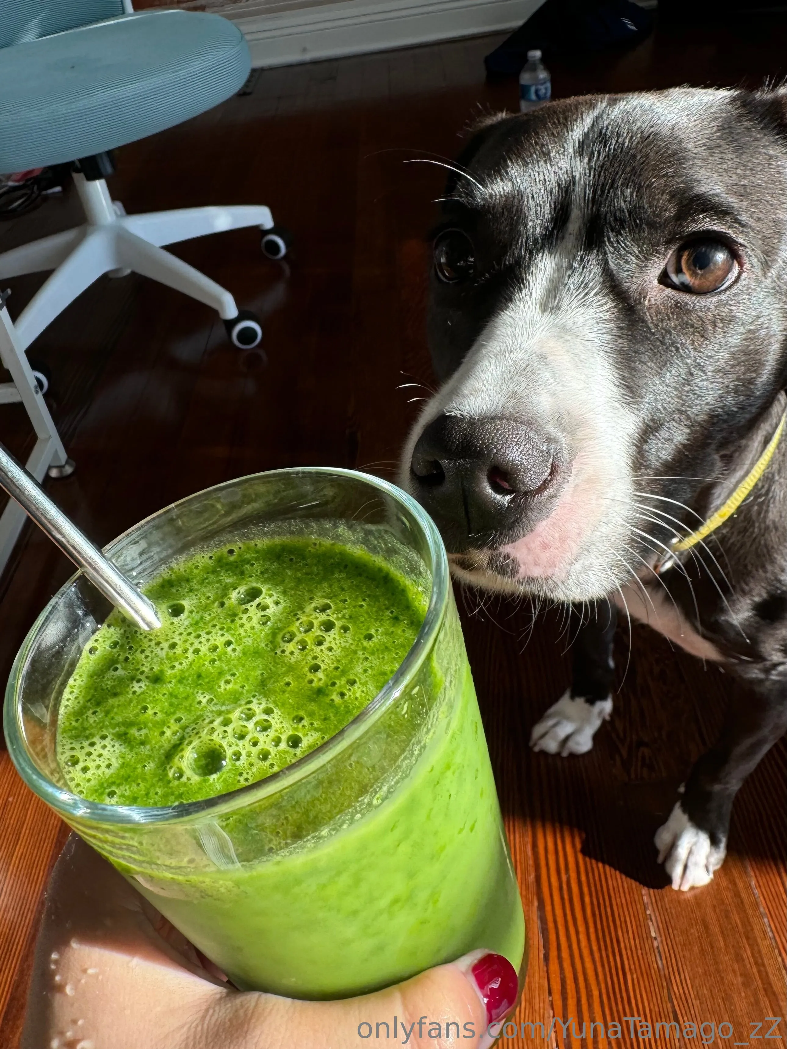 YunaTamago_Free fapello angie