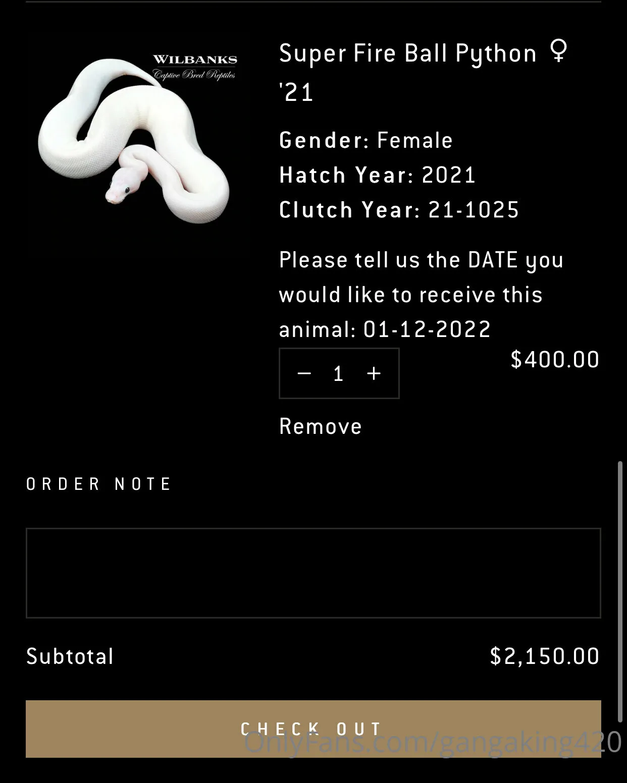 King👑 leaked onlyfans