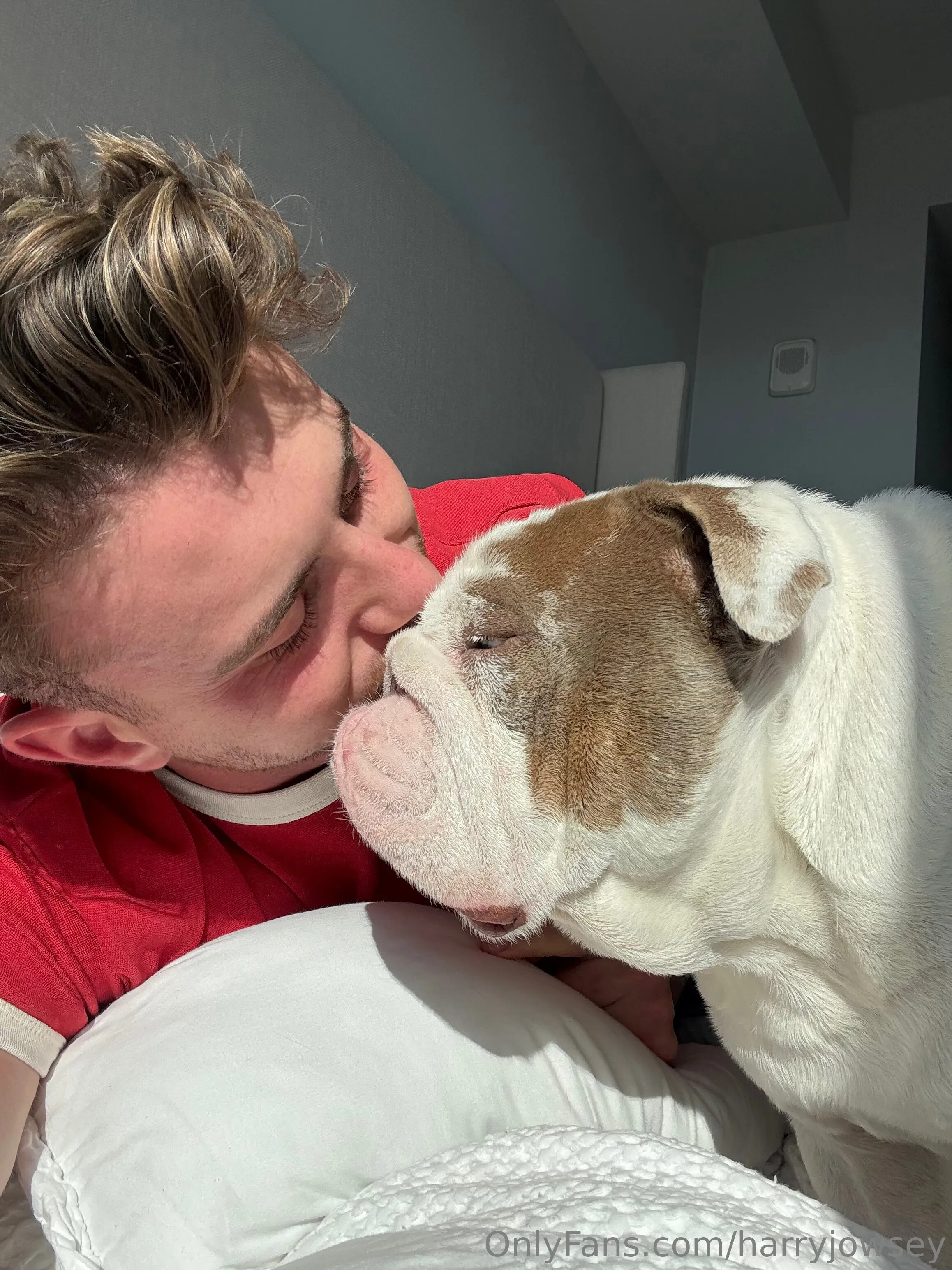 Harry Jowsey @harryjowsey pornhub