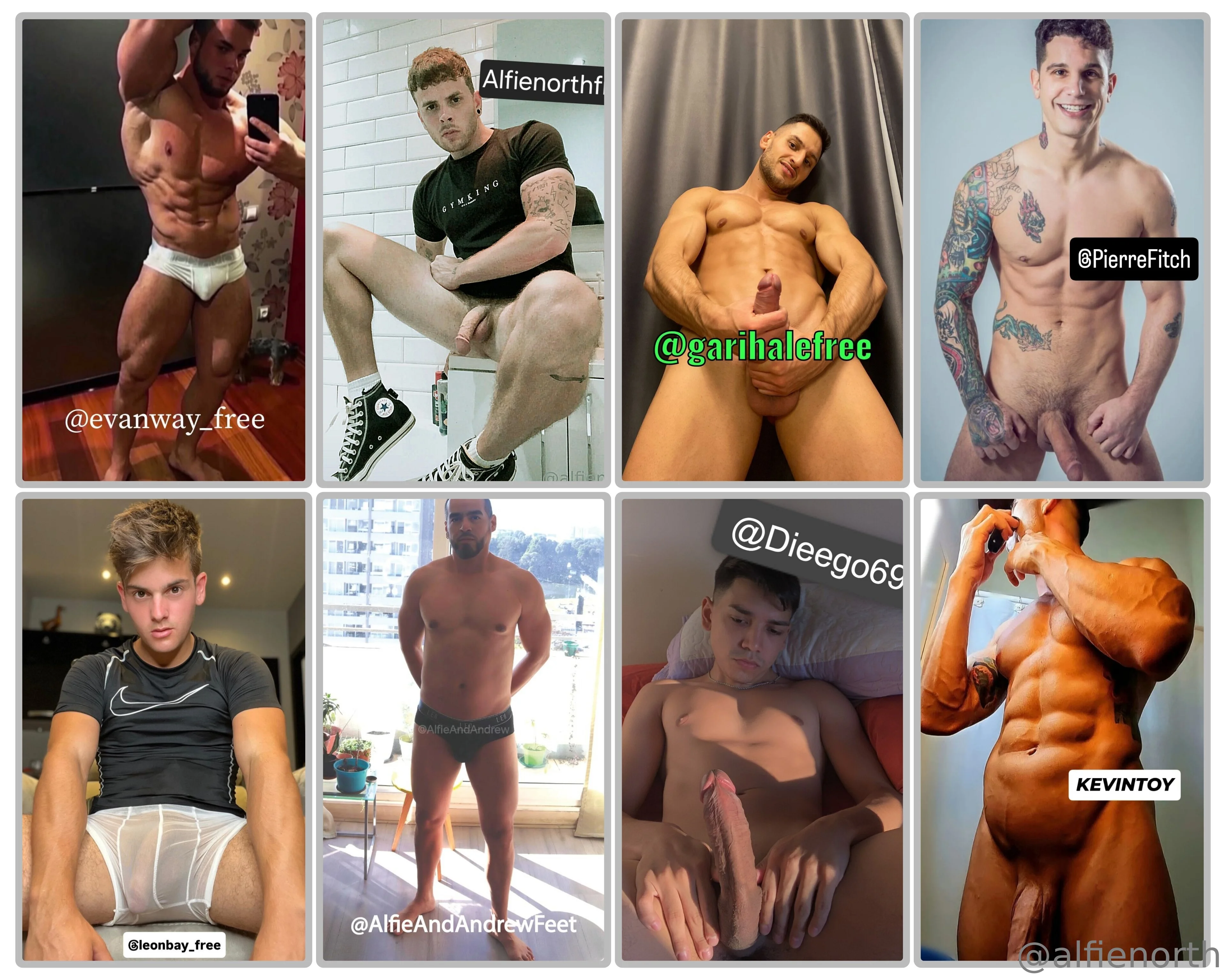 Alfienorth @alfienorthfree holding paper