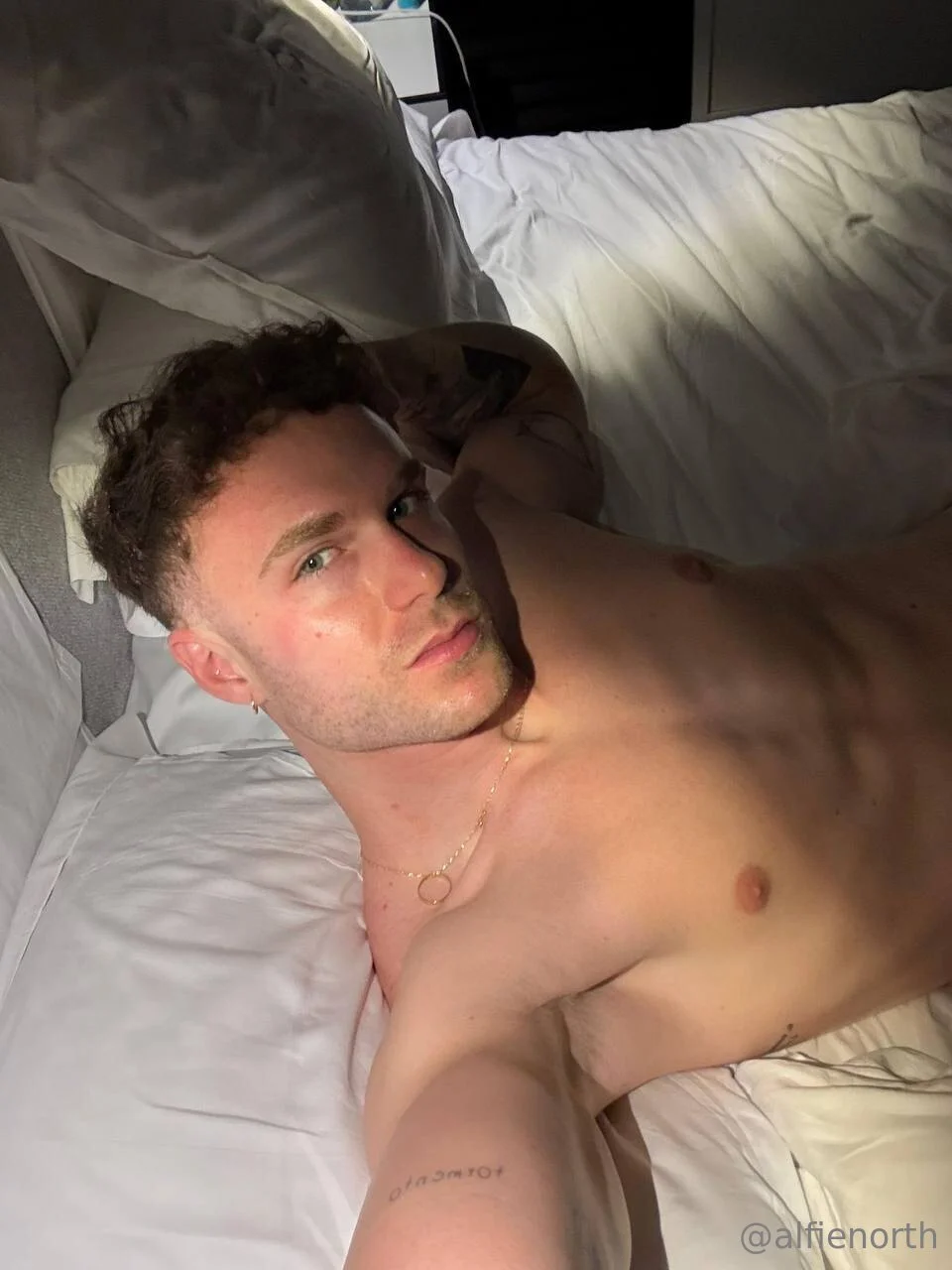 Alfienorth fapello angie