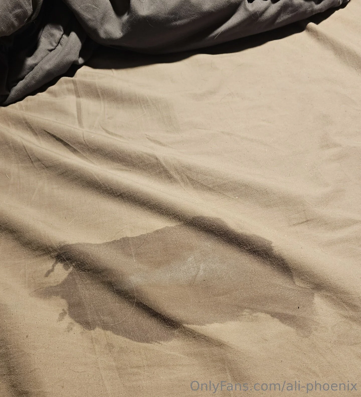 Ali Phoenix simpcity angie