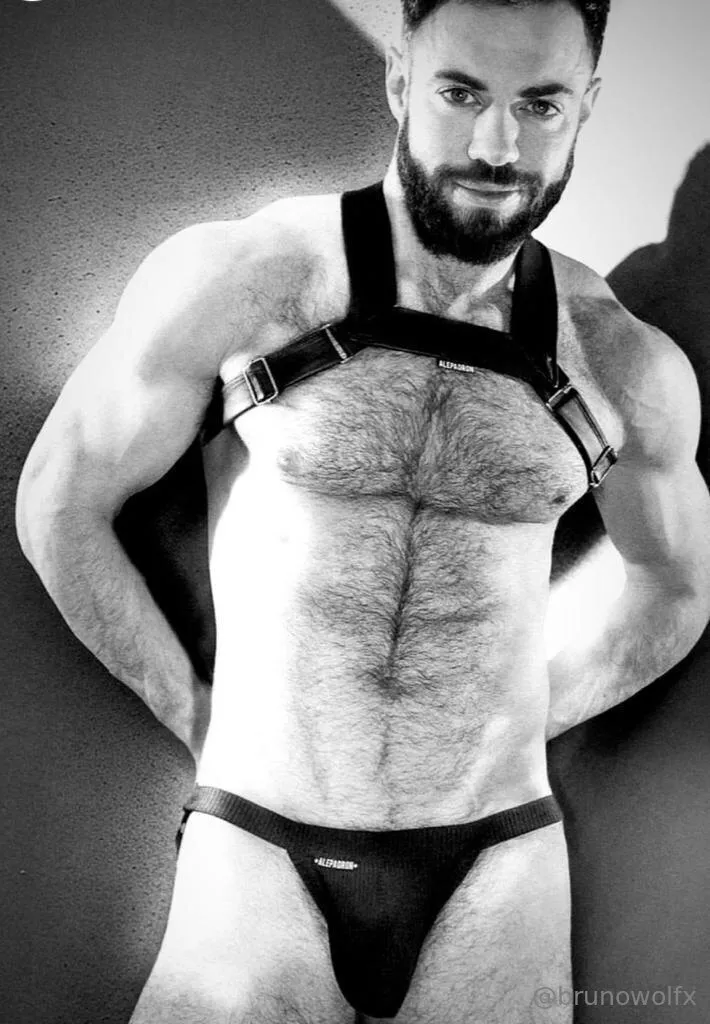 BRUNO Wolfx