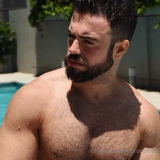 BRUNO Wolfx @brunofree passport