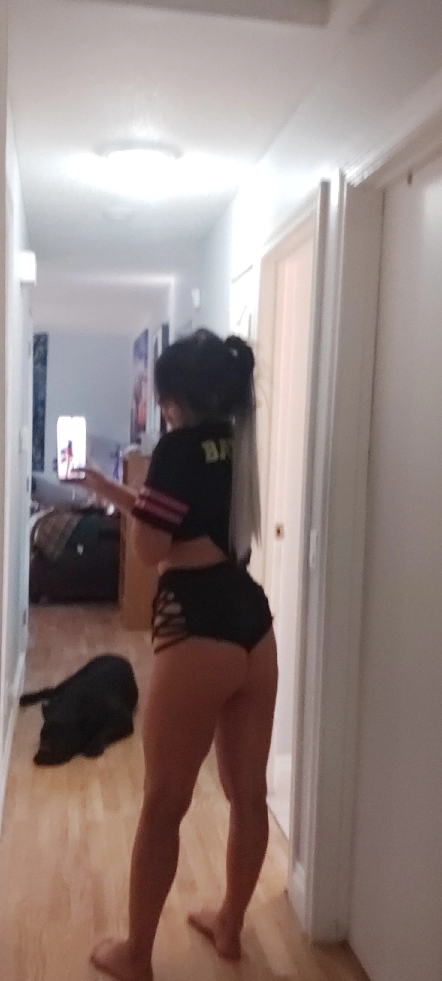 Bunnie Xo🌺 @bunneyxo11 donald j trump