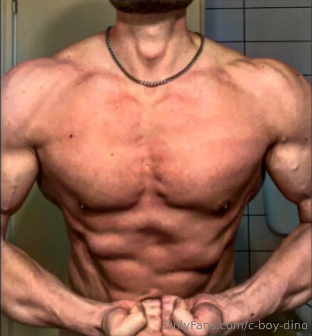 C-Boy-Dino gallery