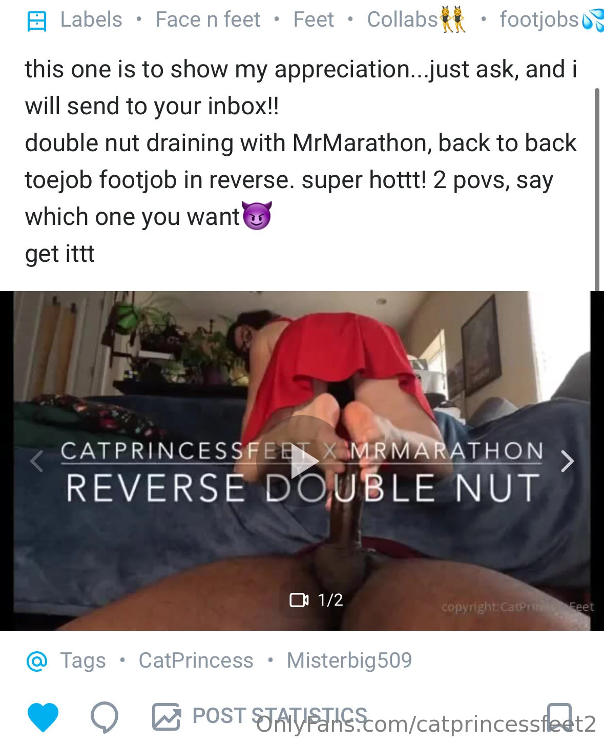 CatPrincess porn star