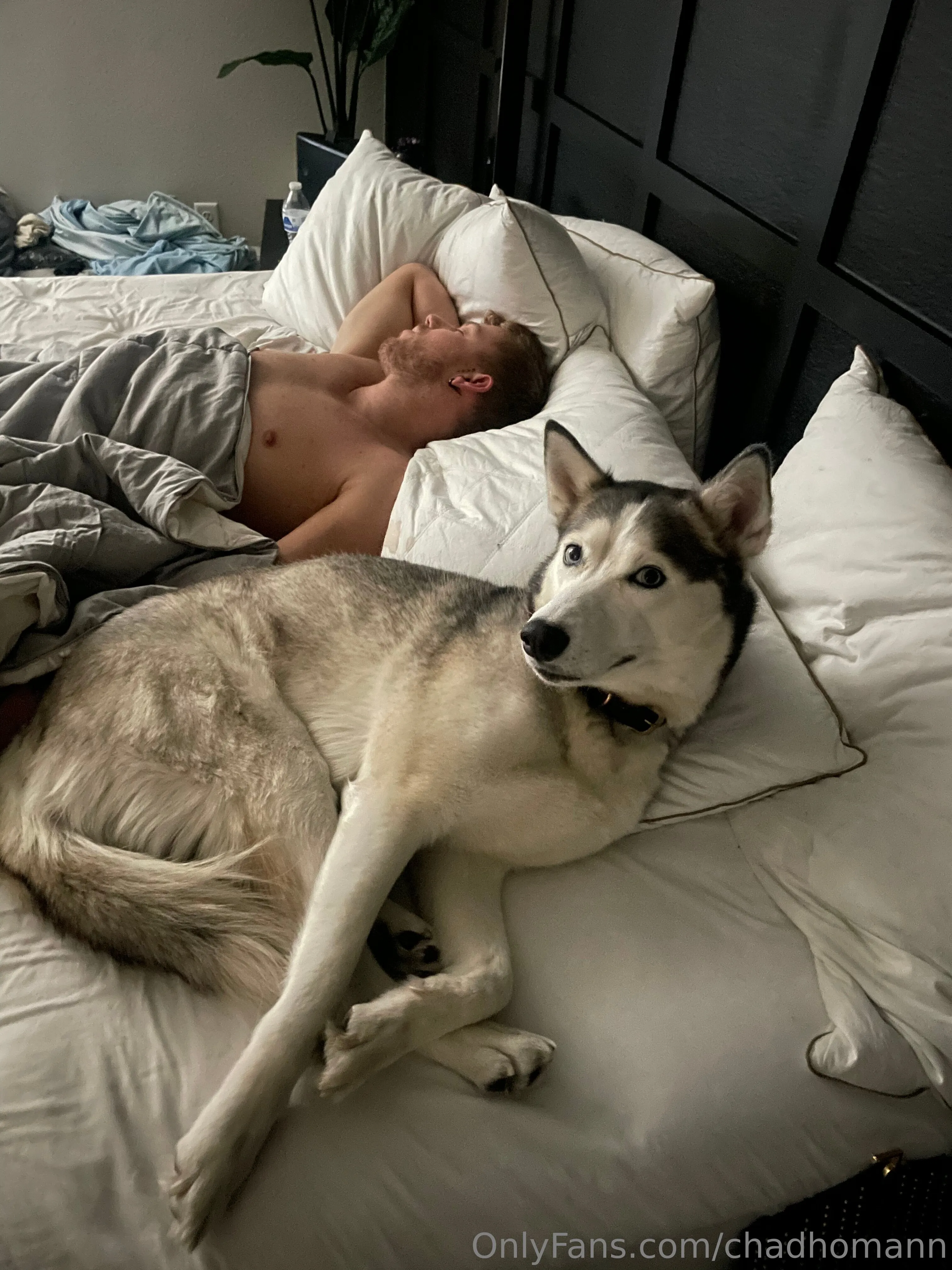 CHAD HOMAN @chadhomann forum