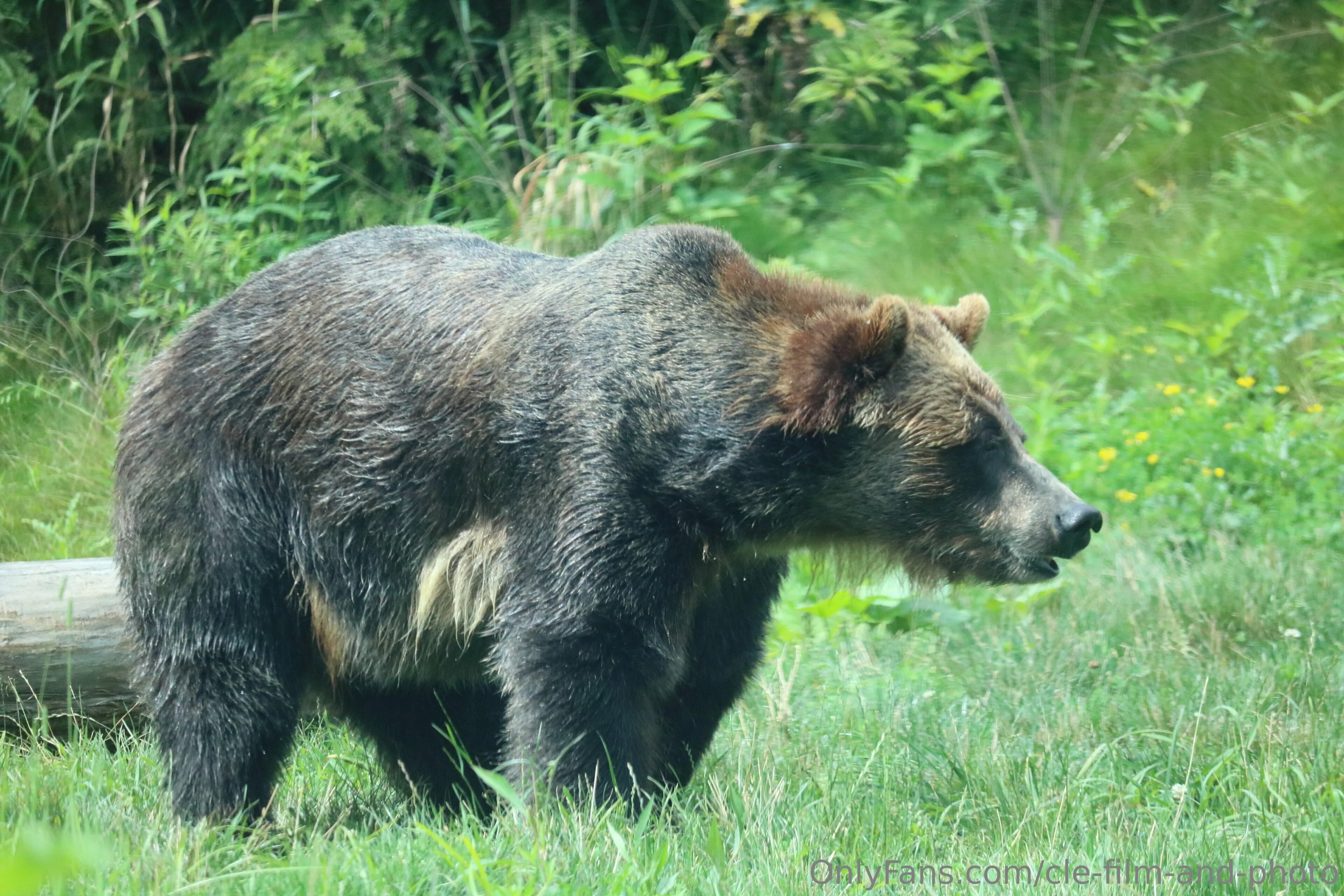 Cle Film & Photo @cle-film-and-photo wiki