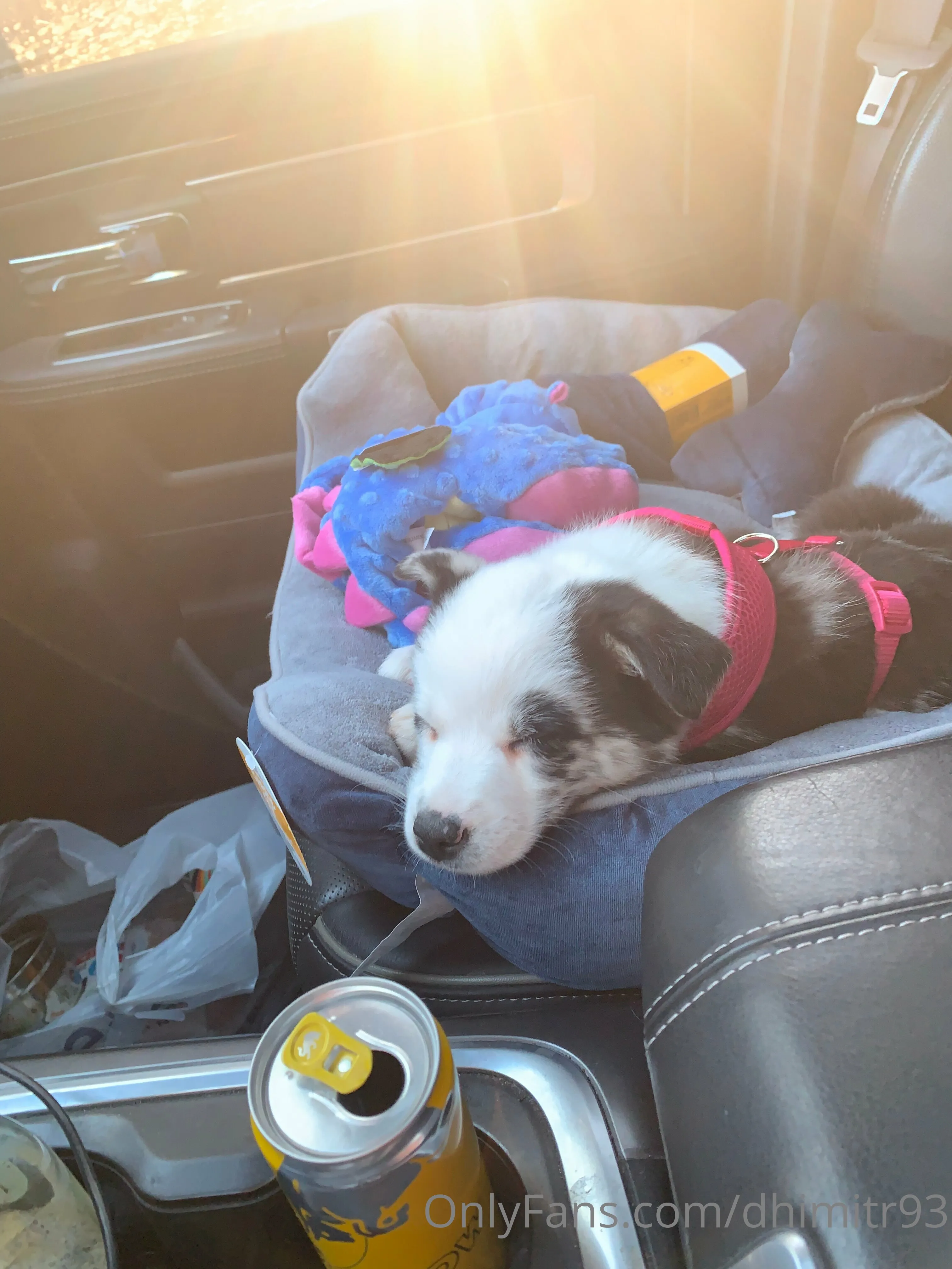 Dhimitri @dhimitr93 pornography