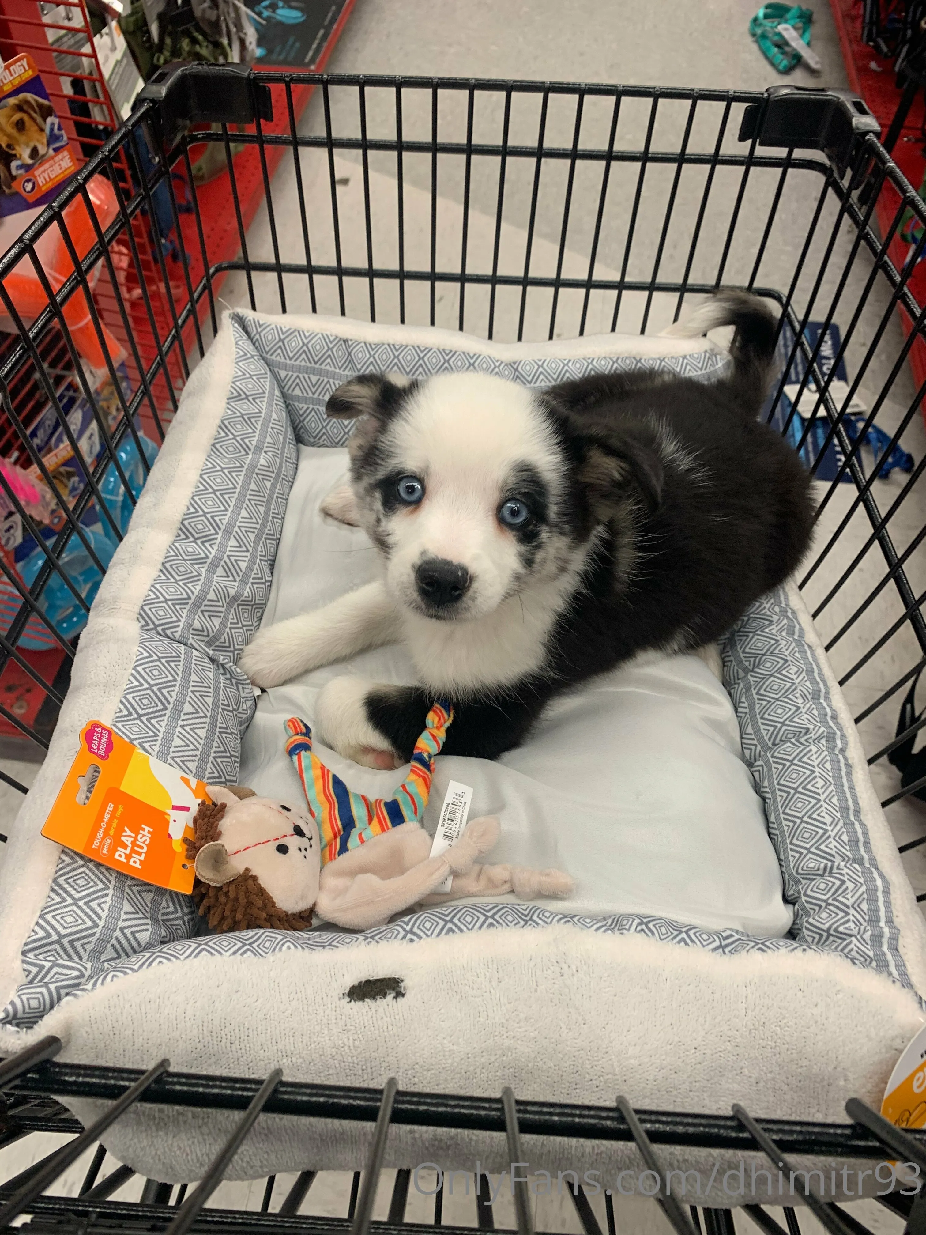 Dhimitri @dhimitr93 mom