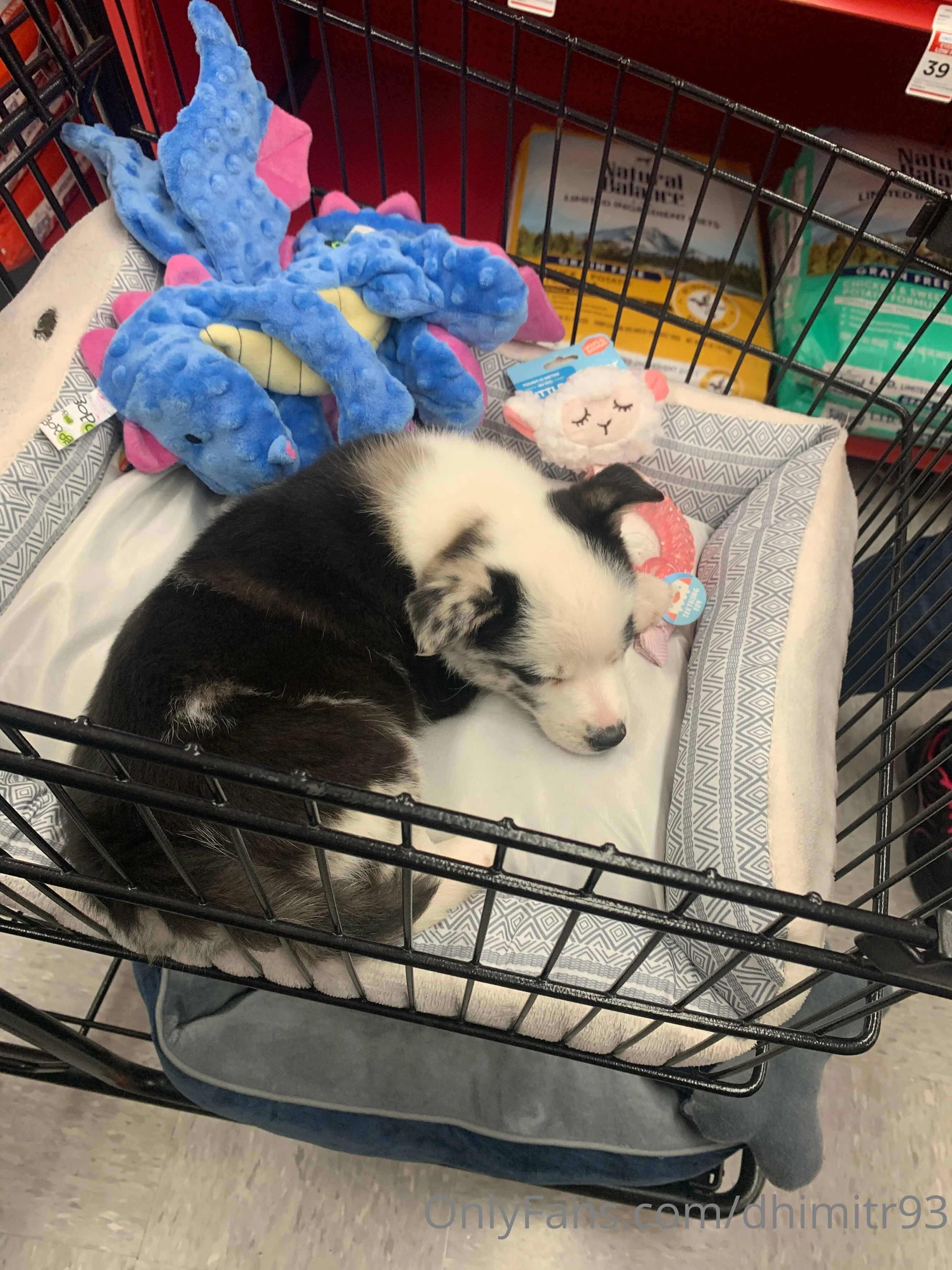 Dhimitri molly's massage