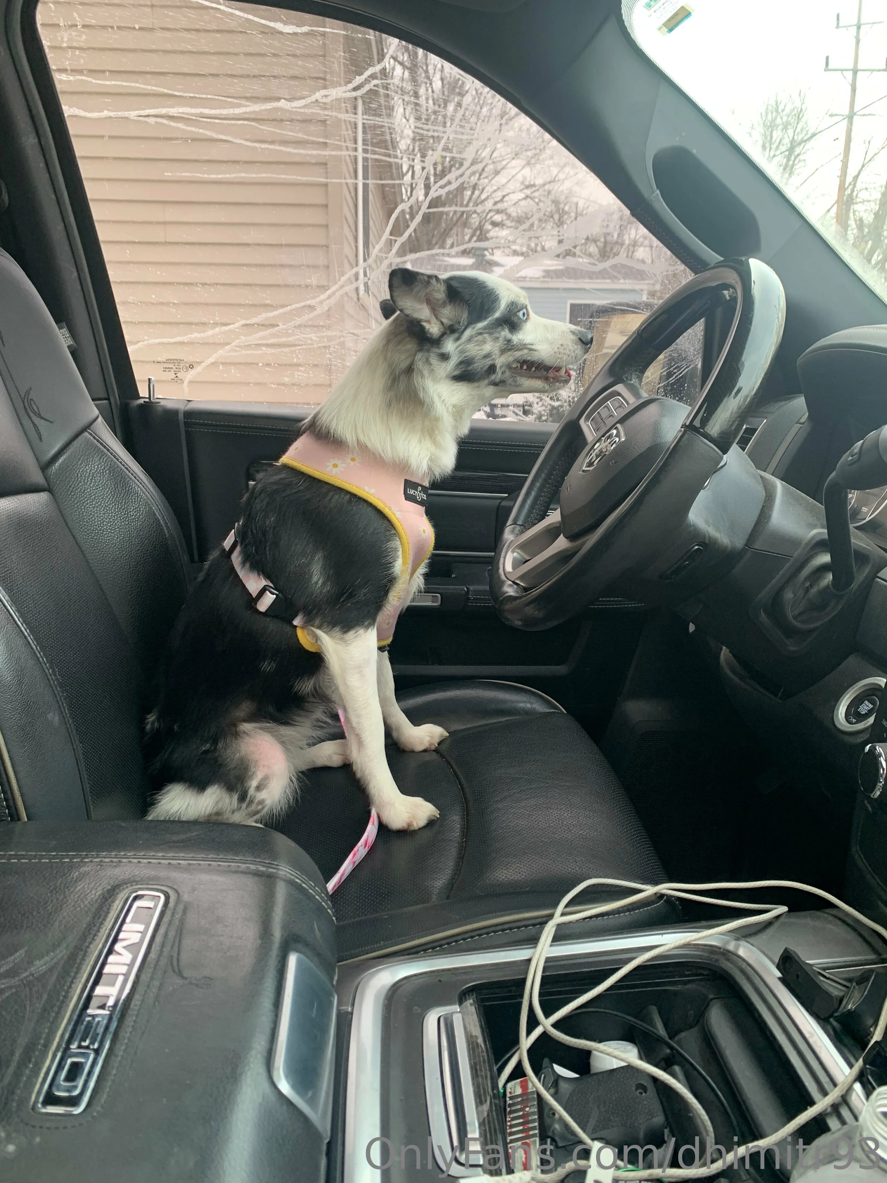 Dhimitri @dhimitr93 dp