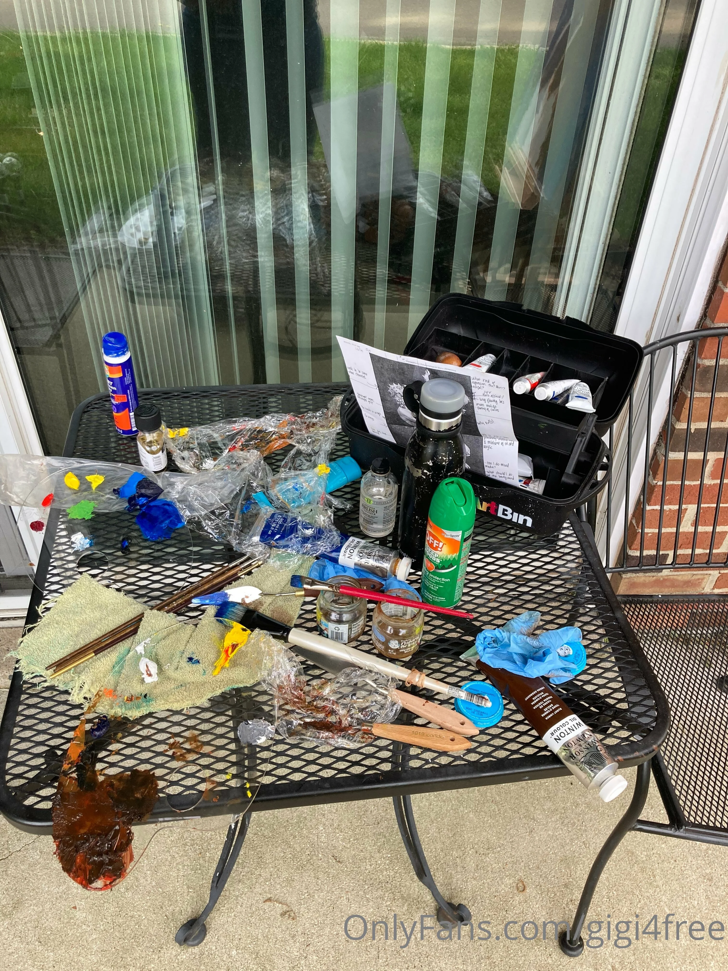 gigifree @gigi4free the daily show