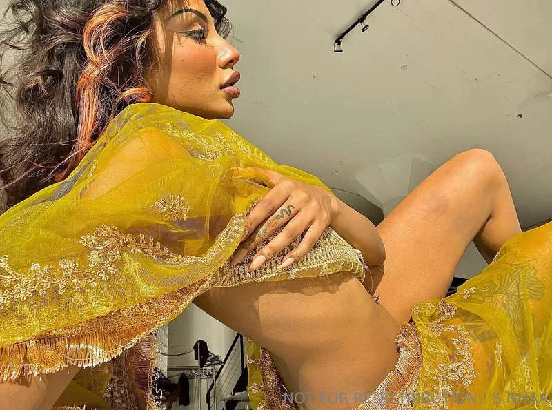 Rani Punnani nude Photo /  Porn - Photo #10