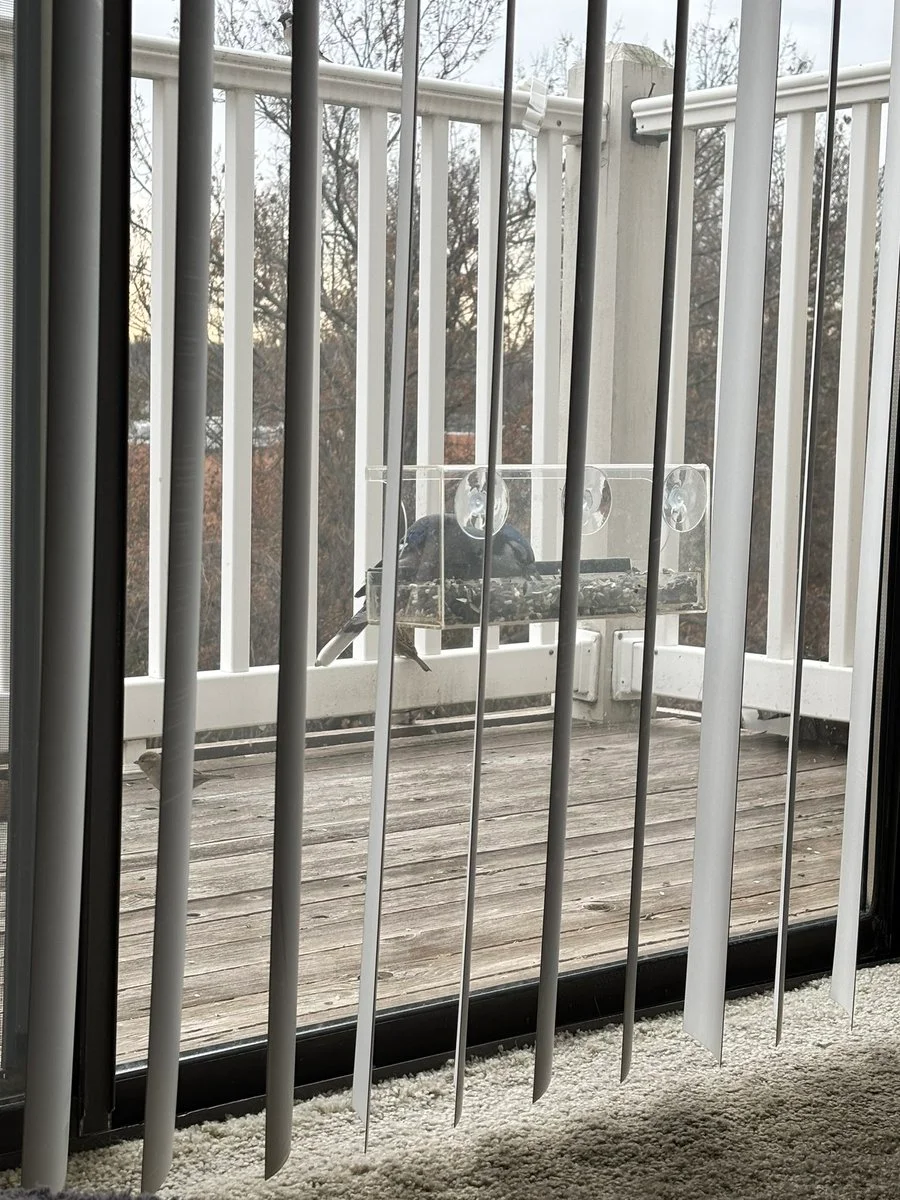 Domi Versailles nude Photo /  Porn - Photo #3