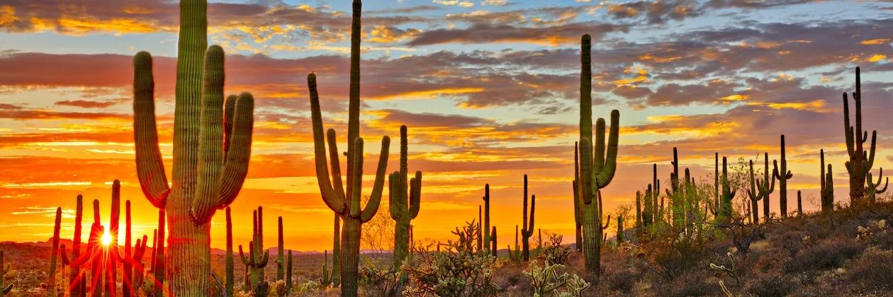 Cheston Stone nude Photo /  Porn - Photo #1