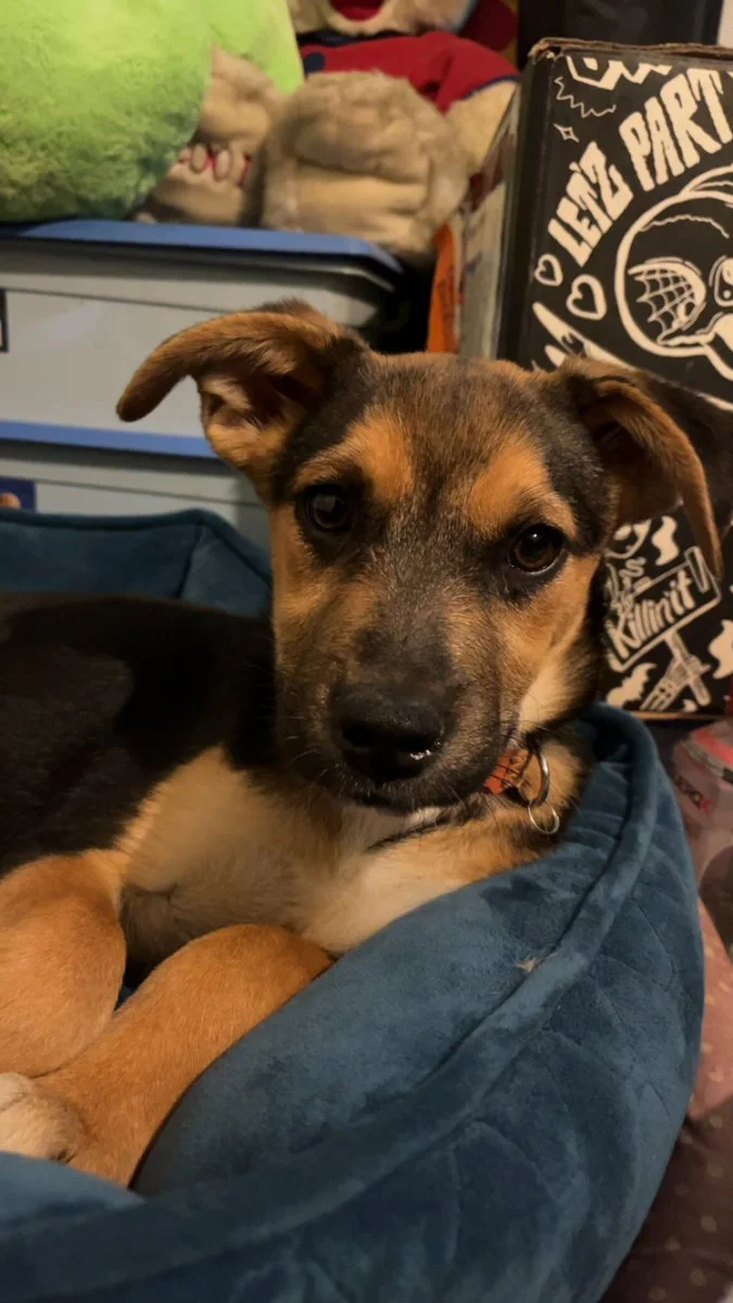 ✨Princess Jime✨ nude Photo /  Porn - Photo #18