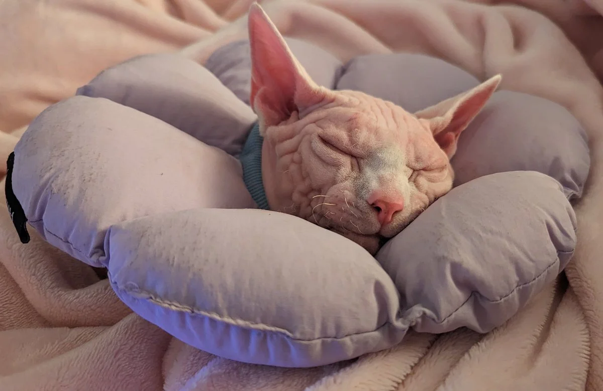 Lacie - Redhead in Bed nude Photo /  Porn - Photo #20