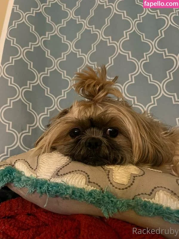 Racked Ruby nude Photo /  Porn - Photo #25