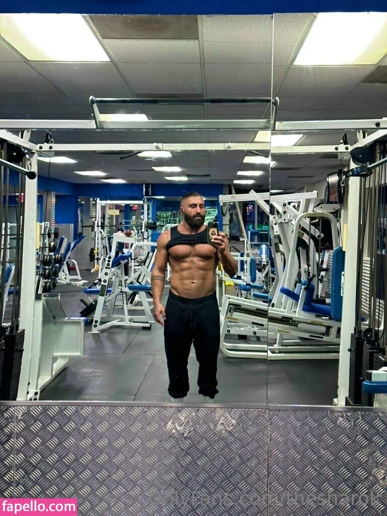 The Sharok nude Photo /  Porn - Photo #4