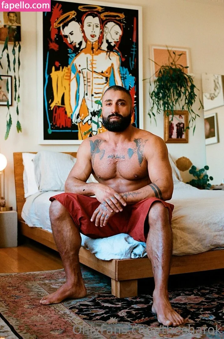 The Sharok nude Photo /  Porn - Photo #2