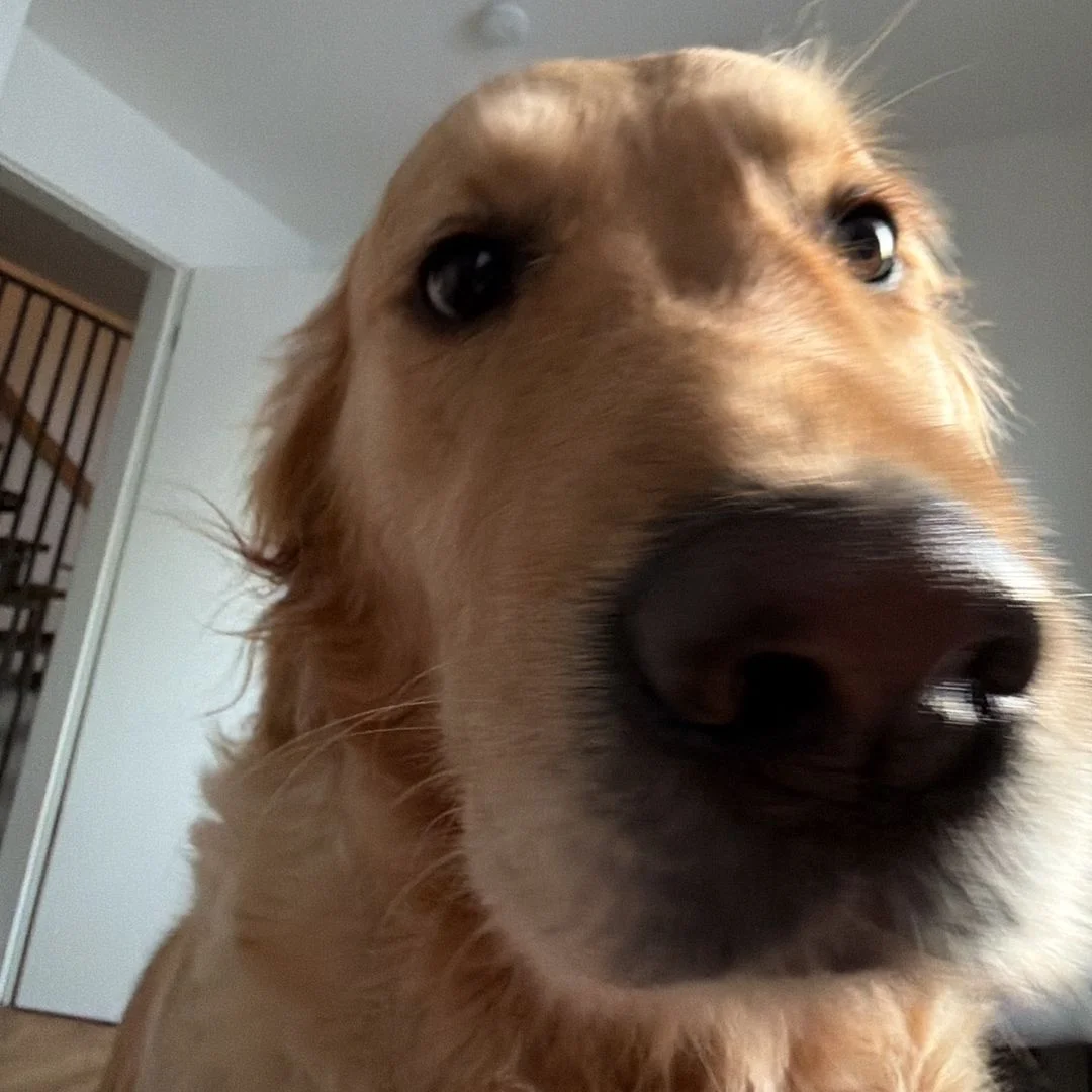 Xenia nude Photo /  Porn - Photo #2