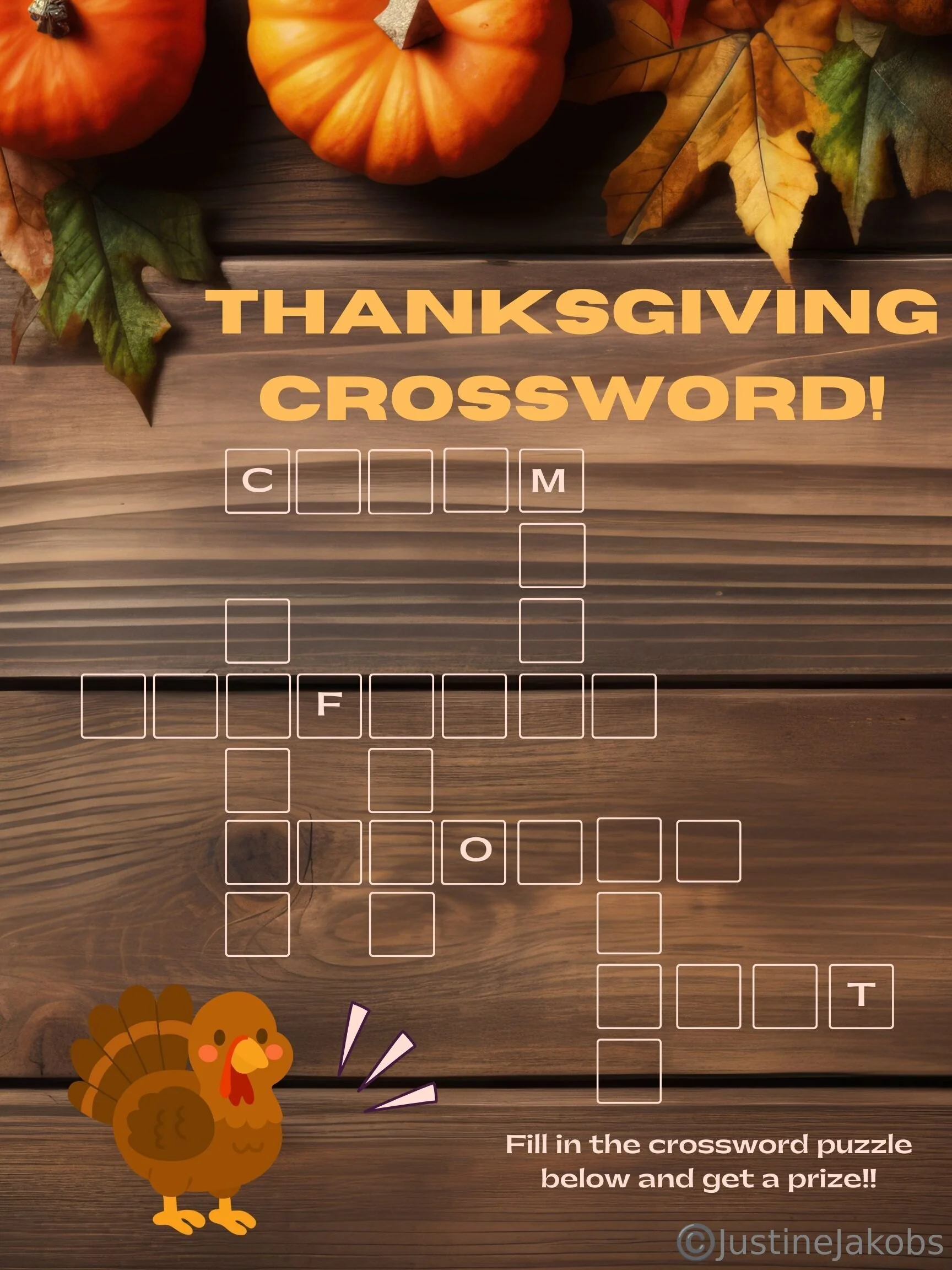 Justine Jakobs TV welcome to the party