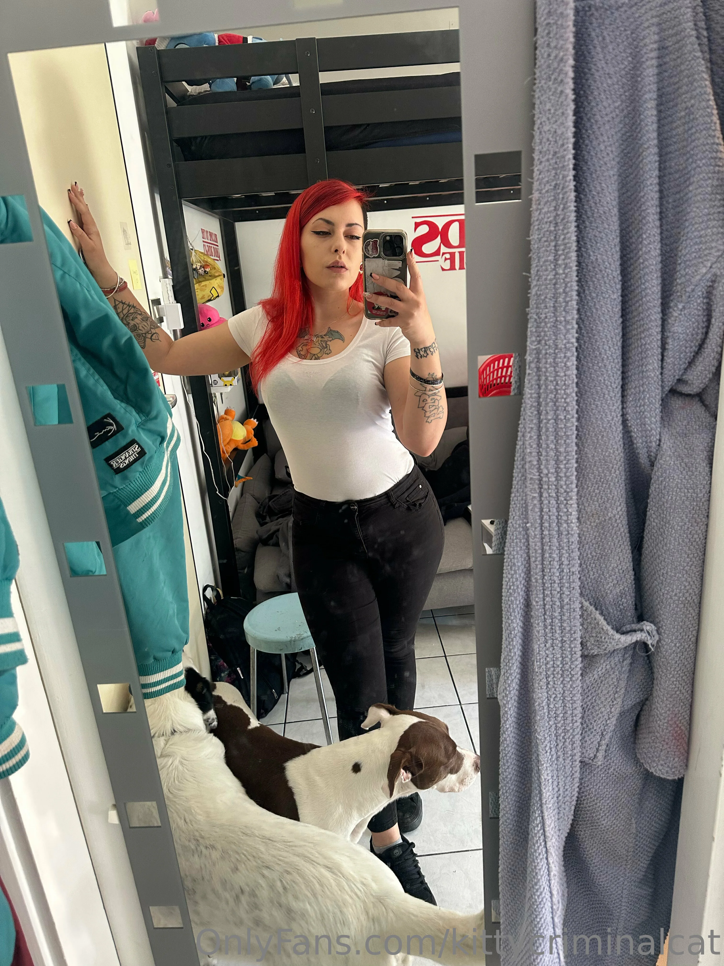 KittyCriminalcat tiktok