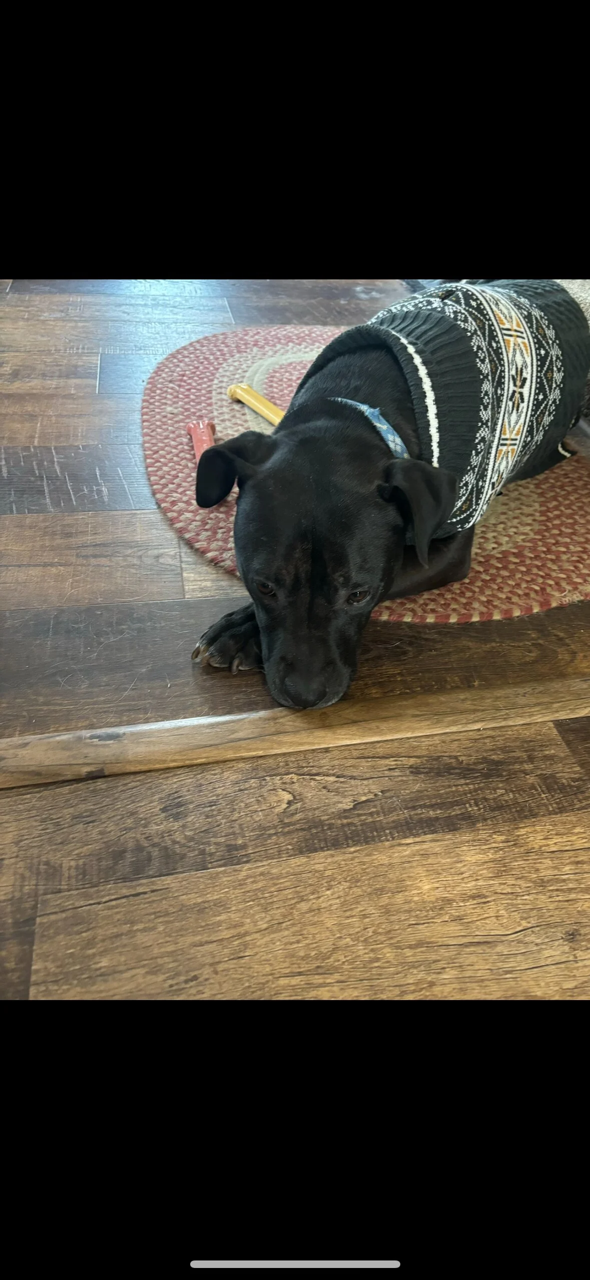 Lilrosiedoll @lilrosiedoll viral video