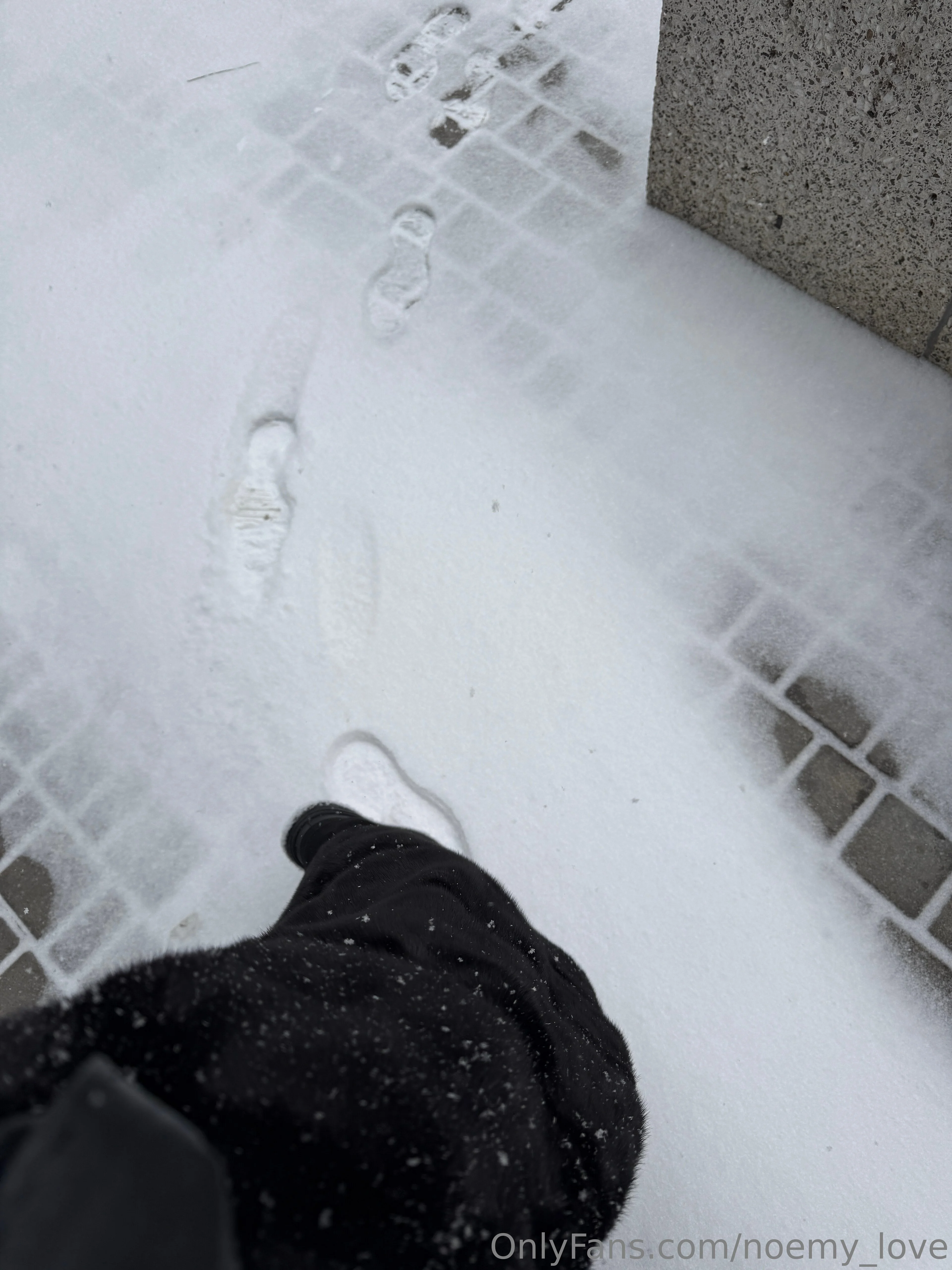 🌙 Noemy🌙 @noemy_love workout plan