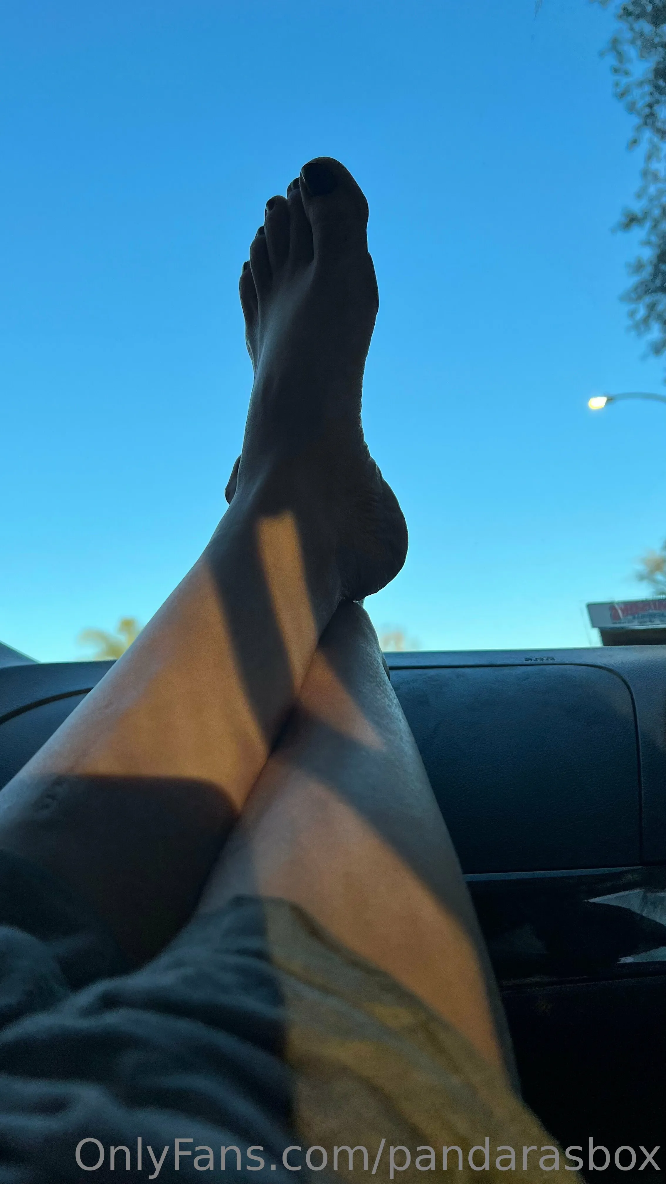 Pandara’s Box @pandarasbox incest